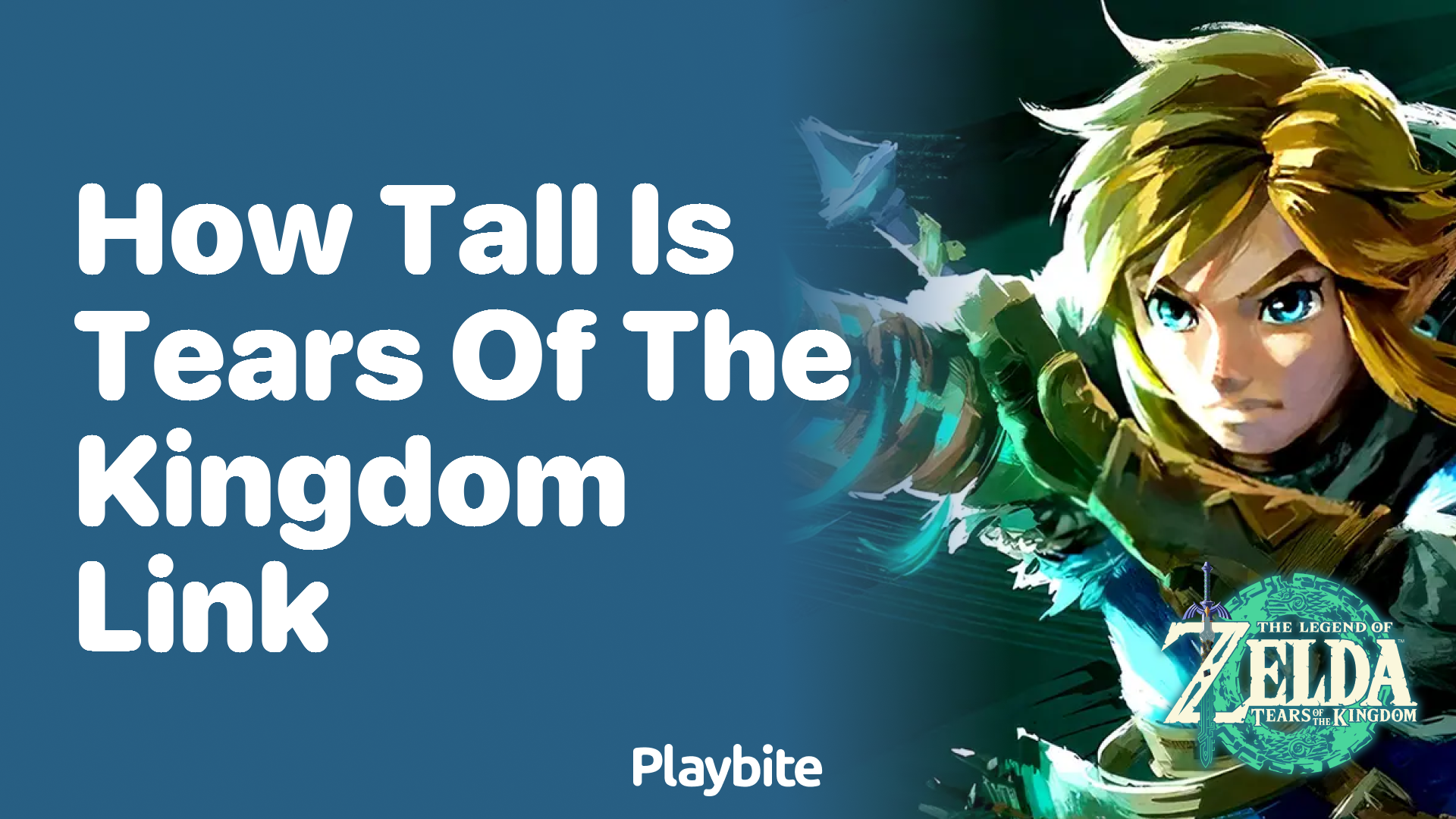 How Tall Is Link in Tears of the Kingdom?