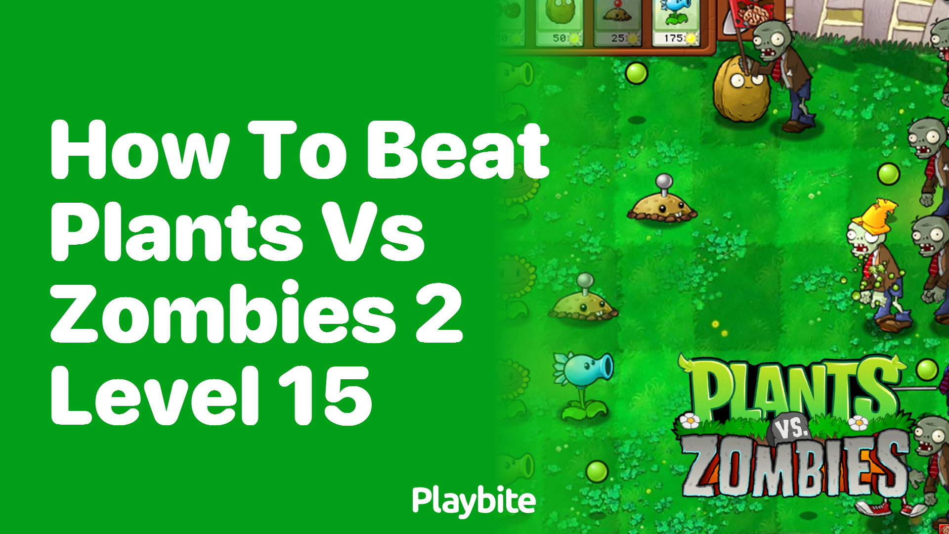 How to beat Plants vs Zombies 2 Level 15?