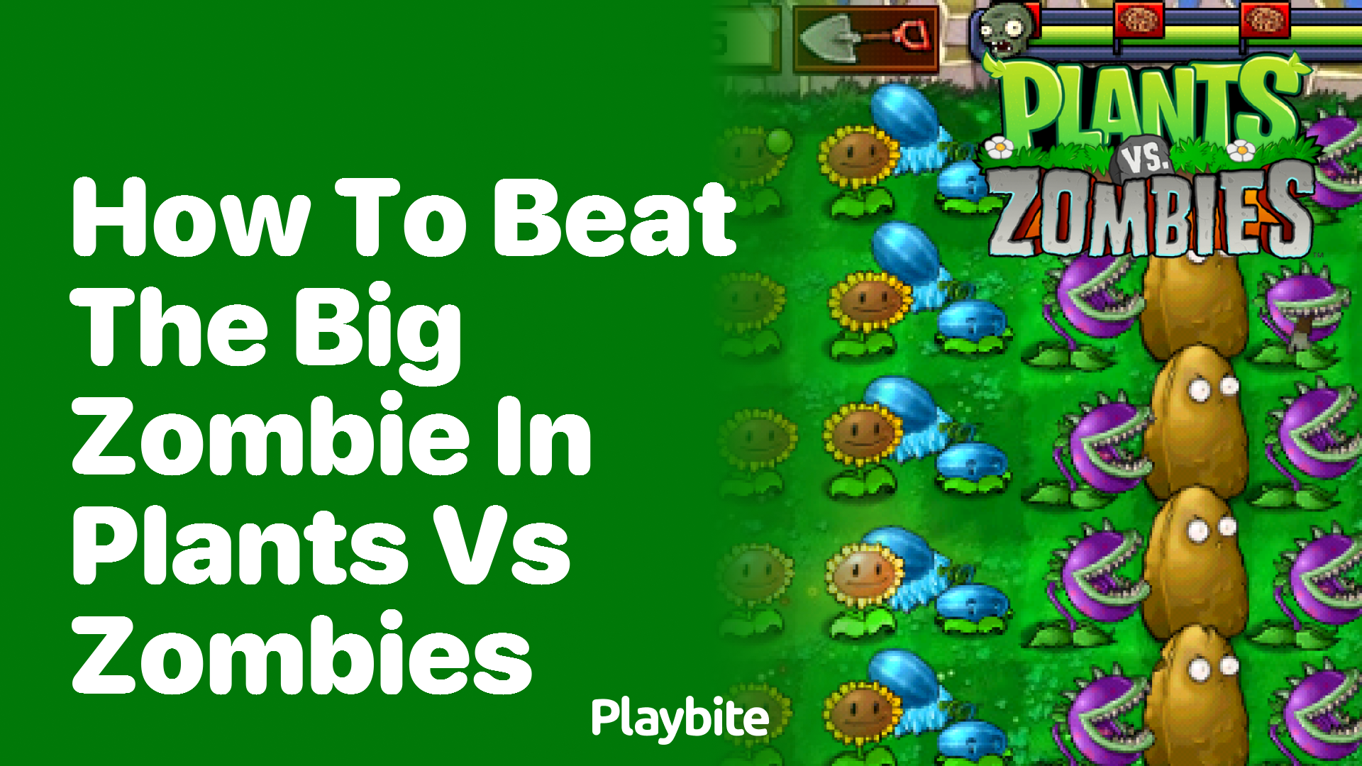 How to beat the big zombie in Plants vs Zombies?