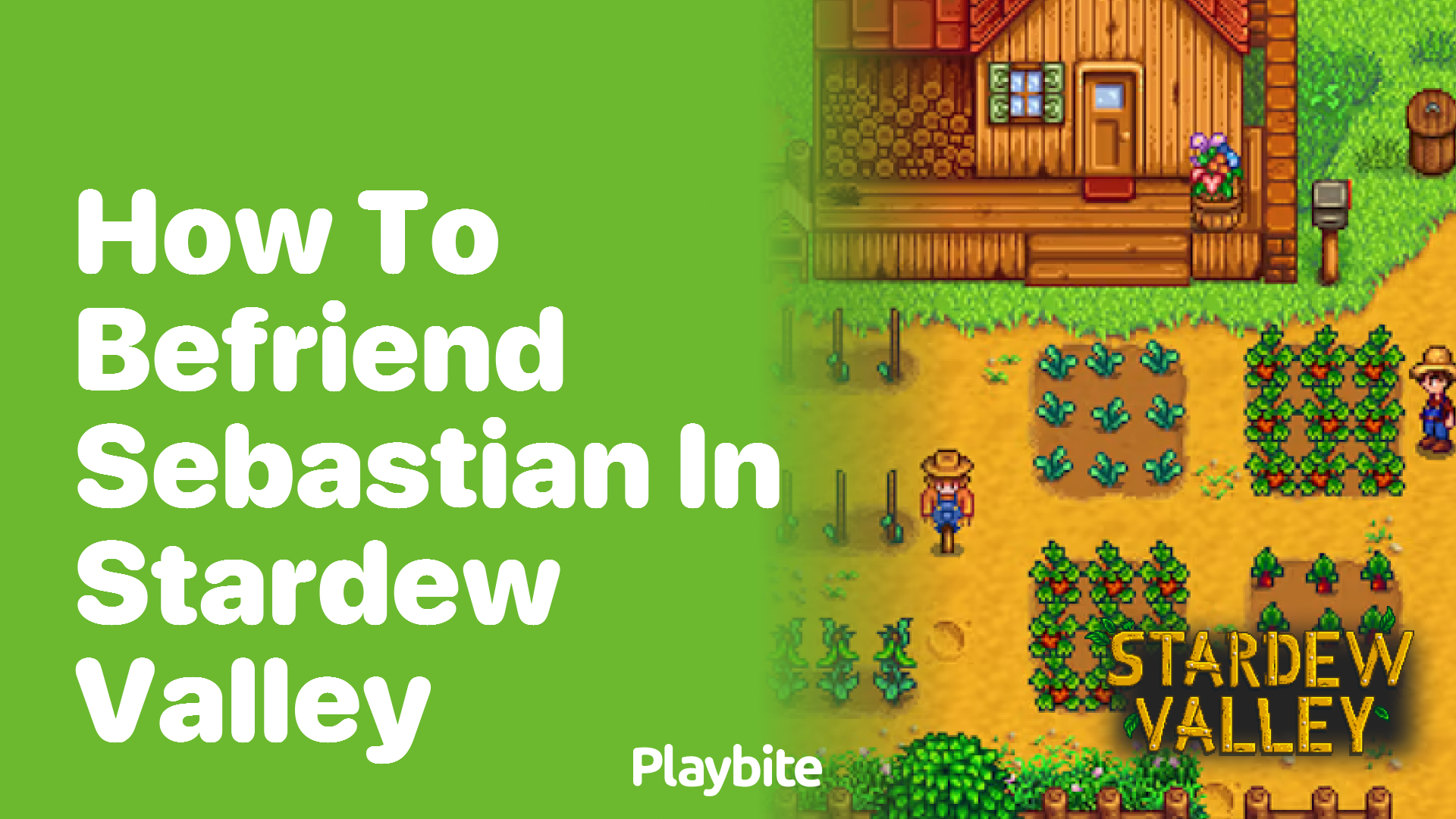 How to Befriend Sebastian in Stardew Valley - Playbite