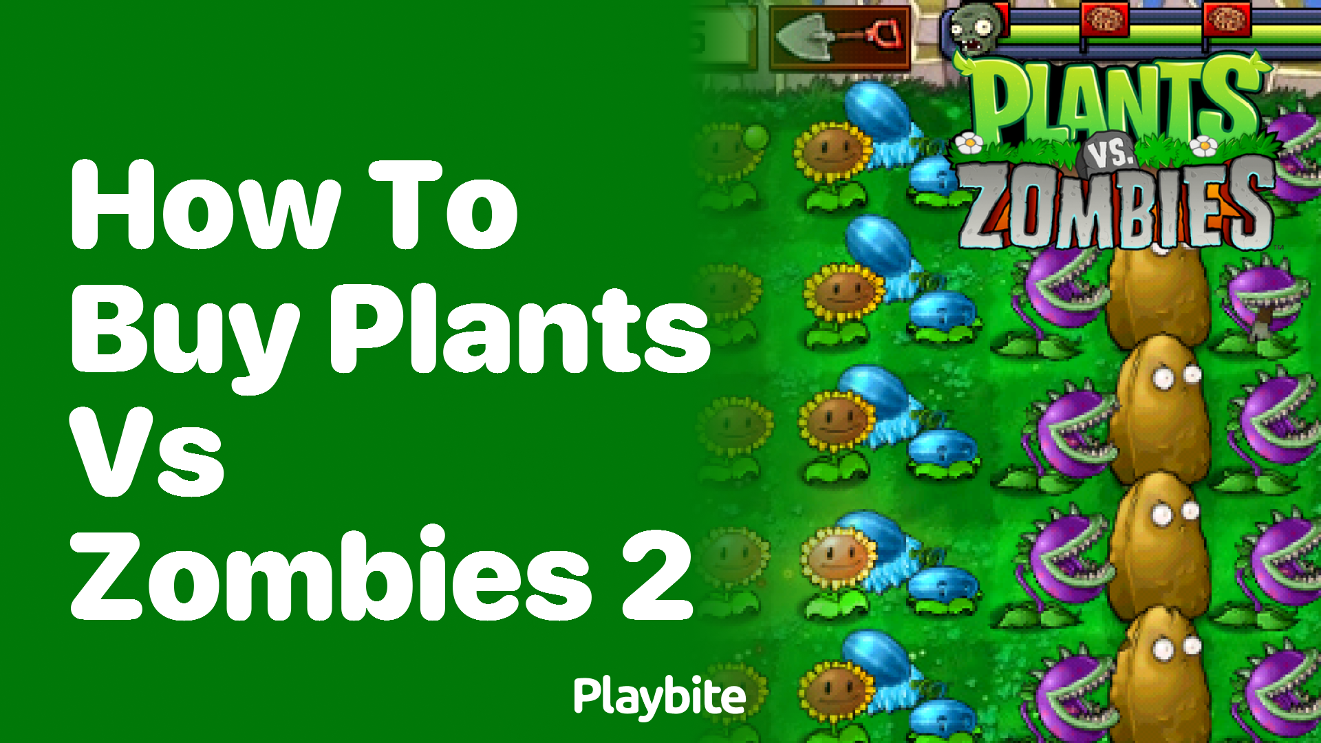 How to Buy Plants vs Zombies 2