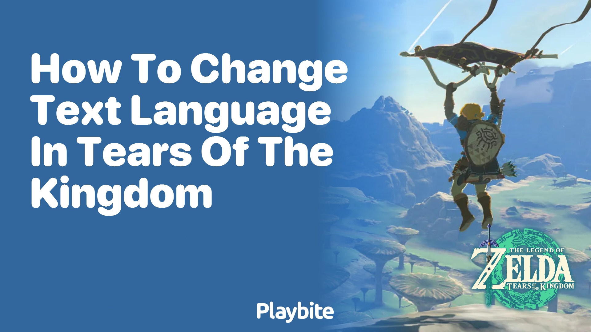 How to Change Text Language in Tears of the Kingdom