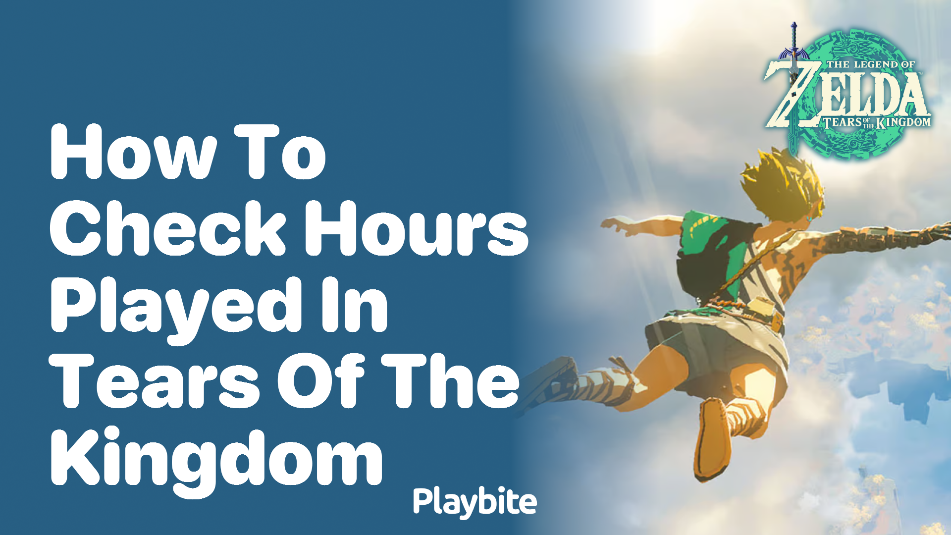 How to Check Hours Played in Tears of the Kingdom