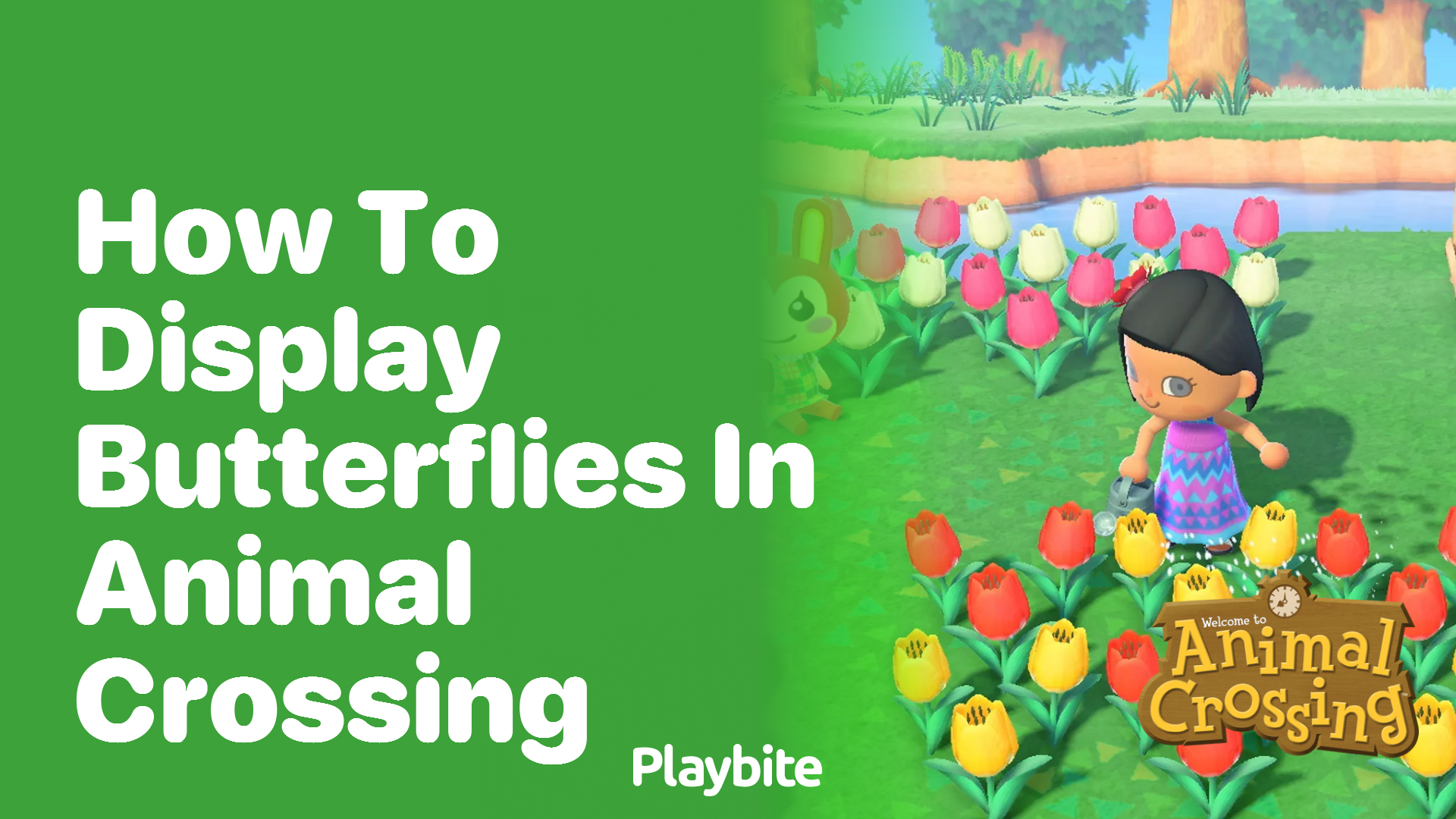 How to Display Butterflies in Animal Crossing