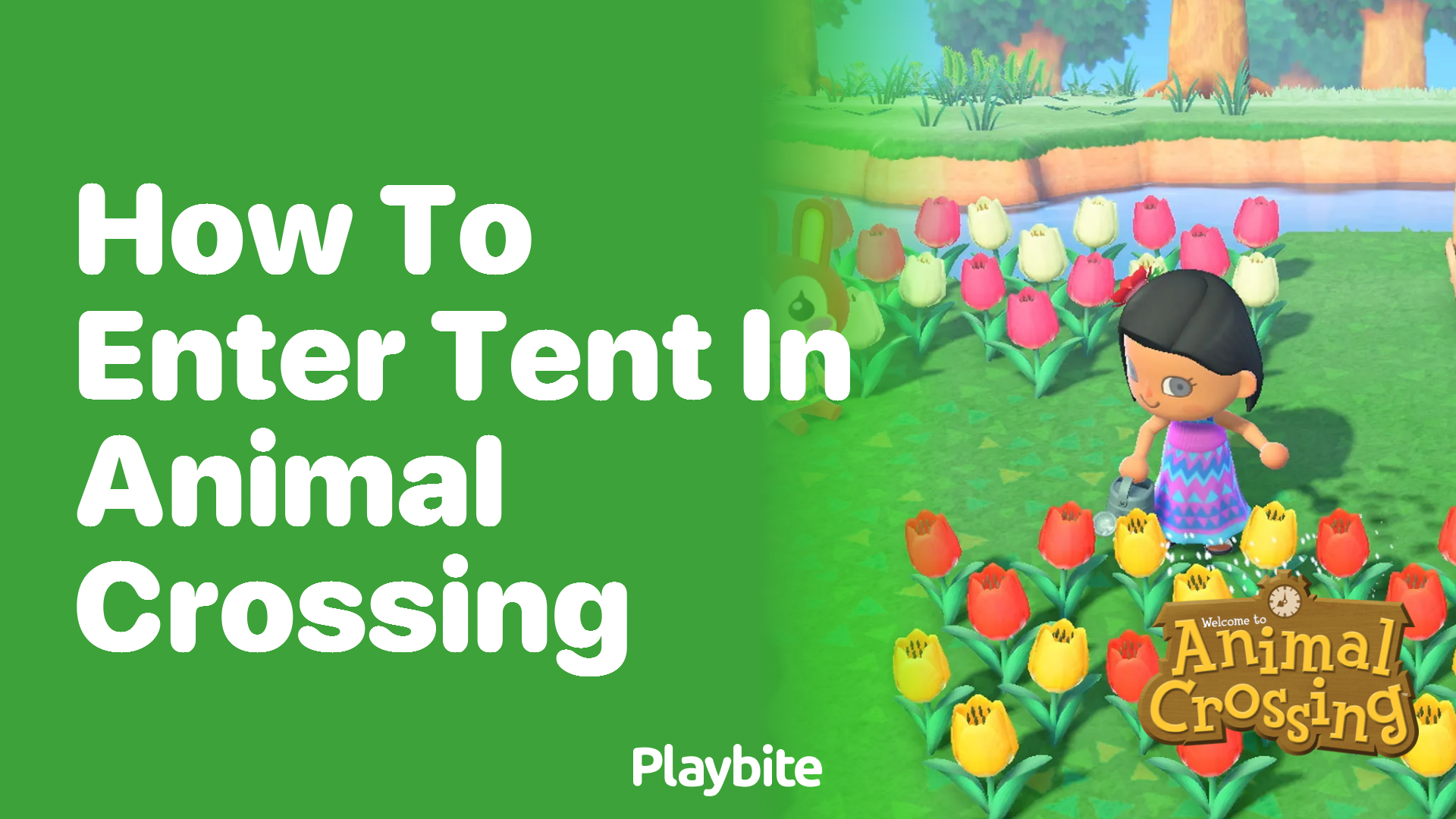 How to Enter a Tent in Animal Crossing