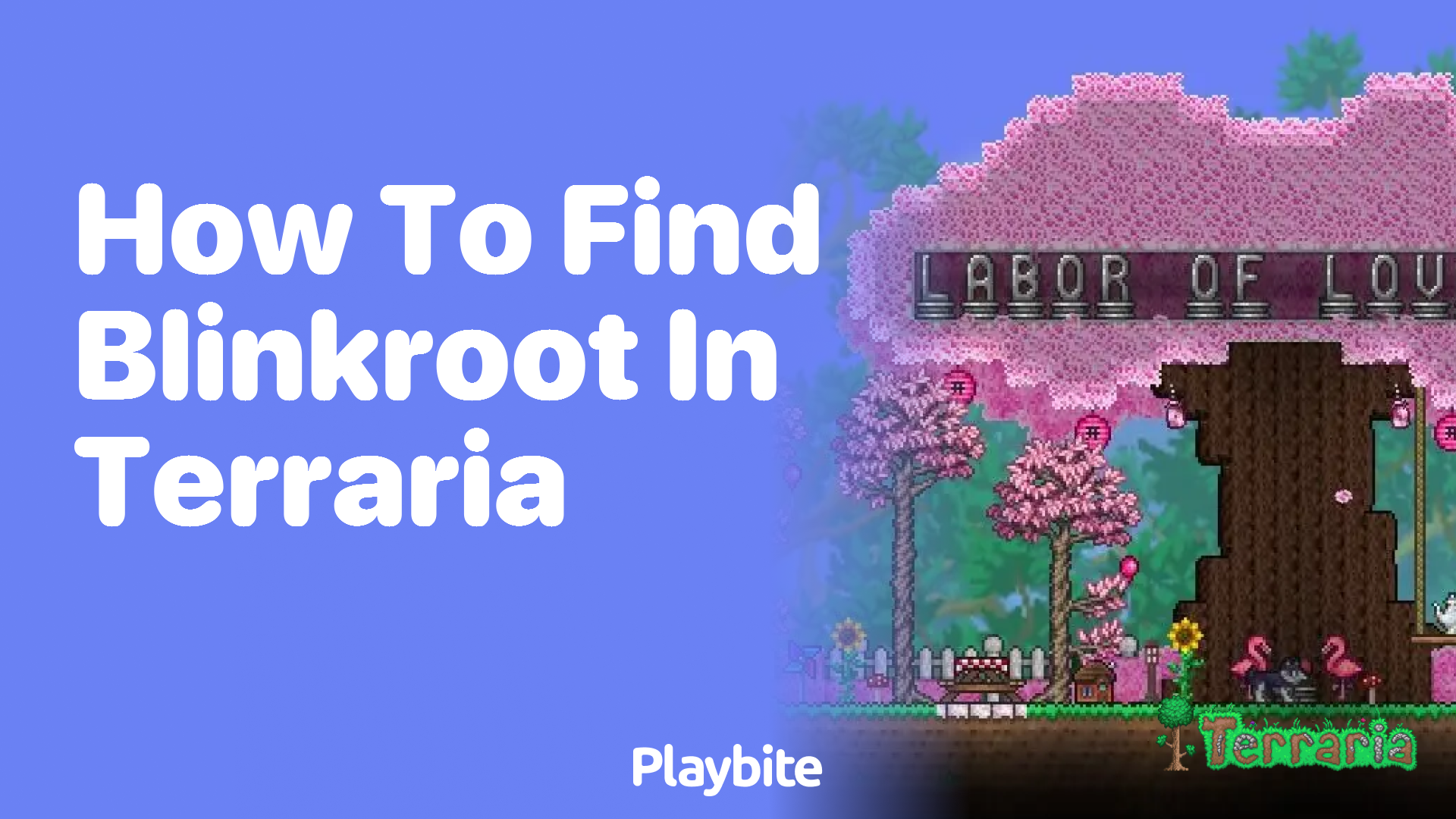 How to Find Blinkroot in Terraria