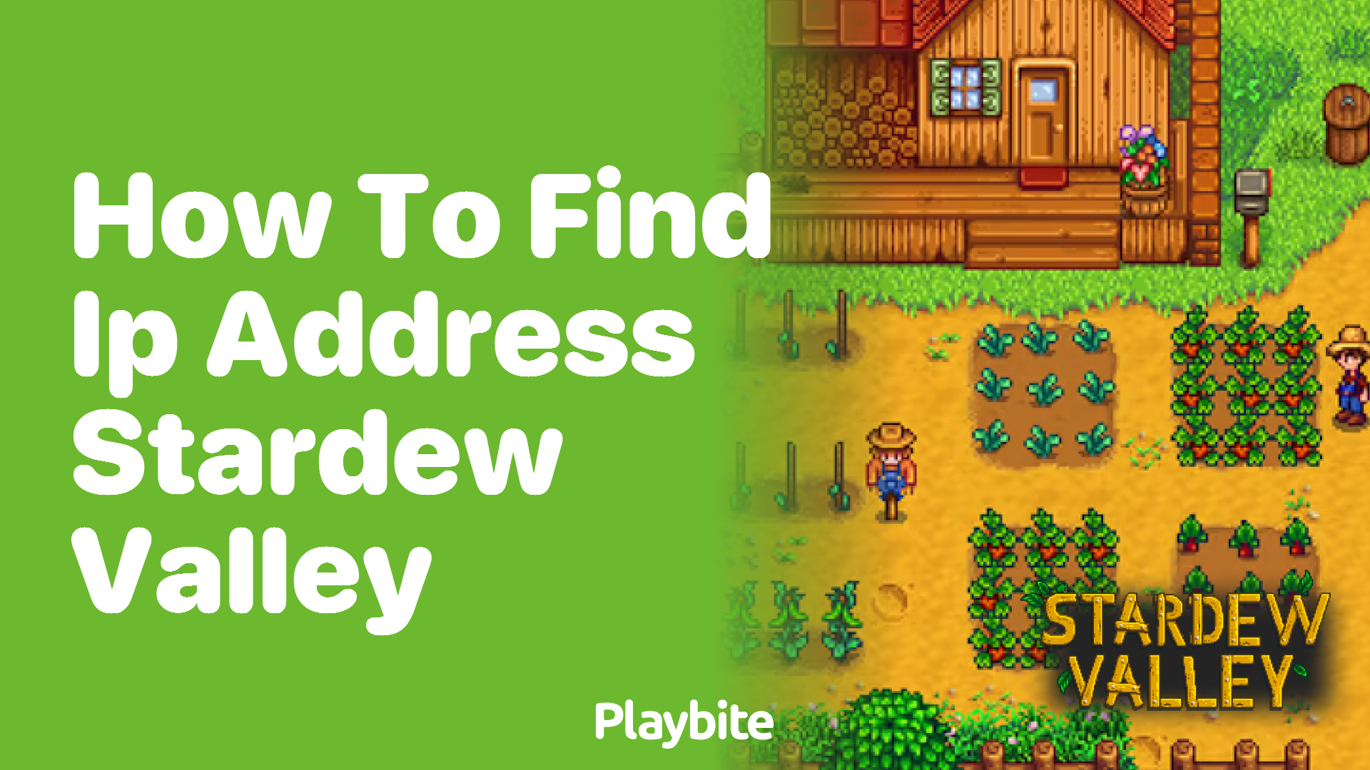 Ip для игры stardew valley (96) фото