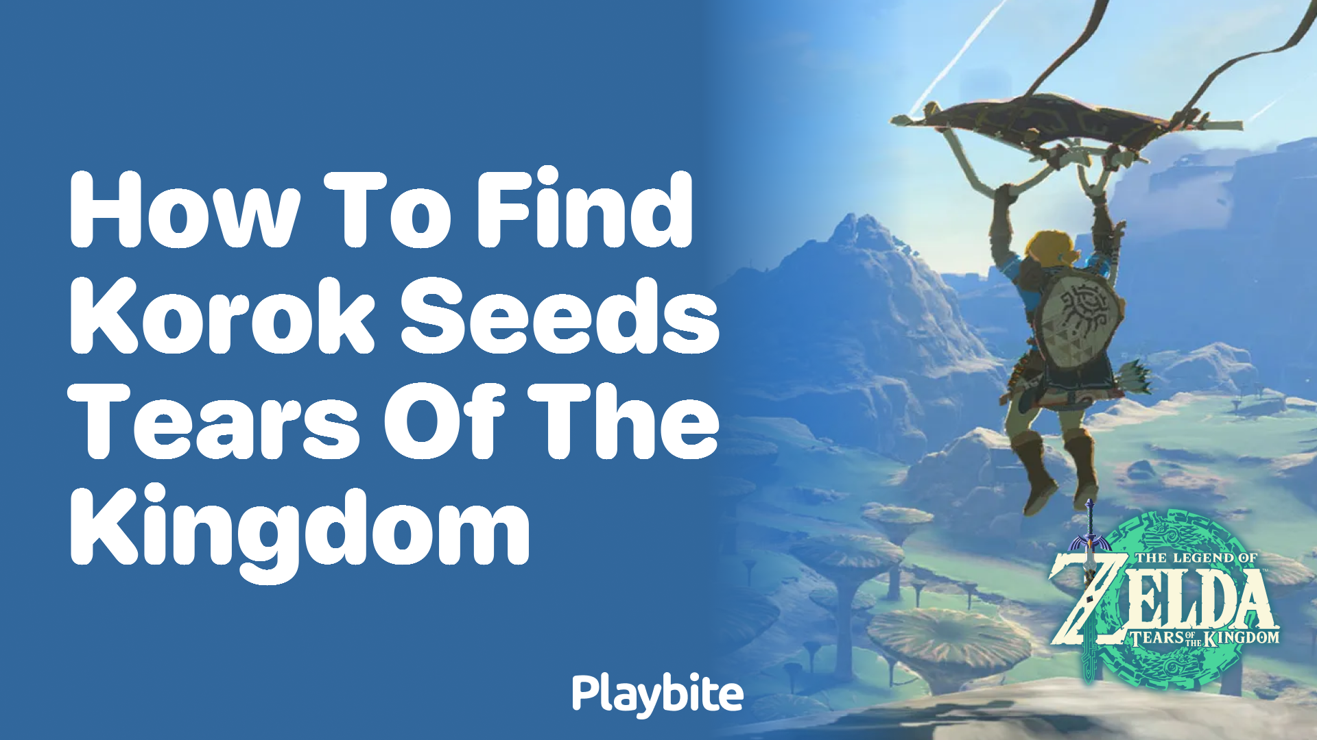 How to Find Korok Seeds in Tears of the Kingdom - Playbite