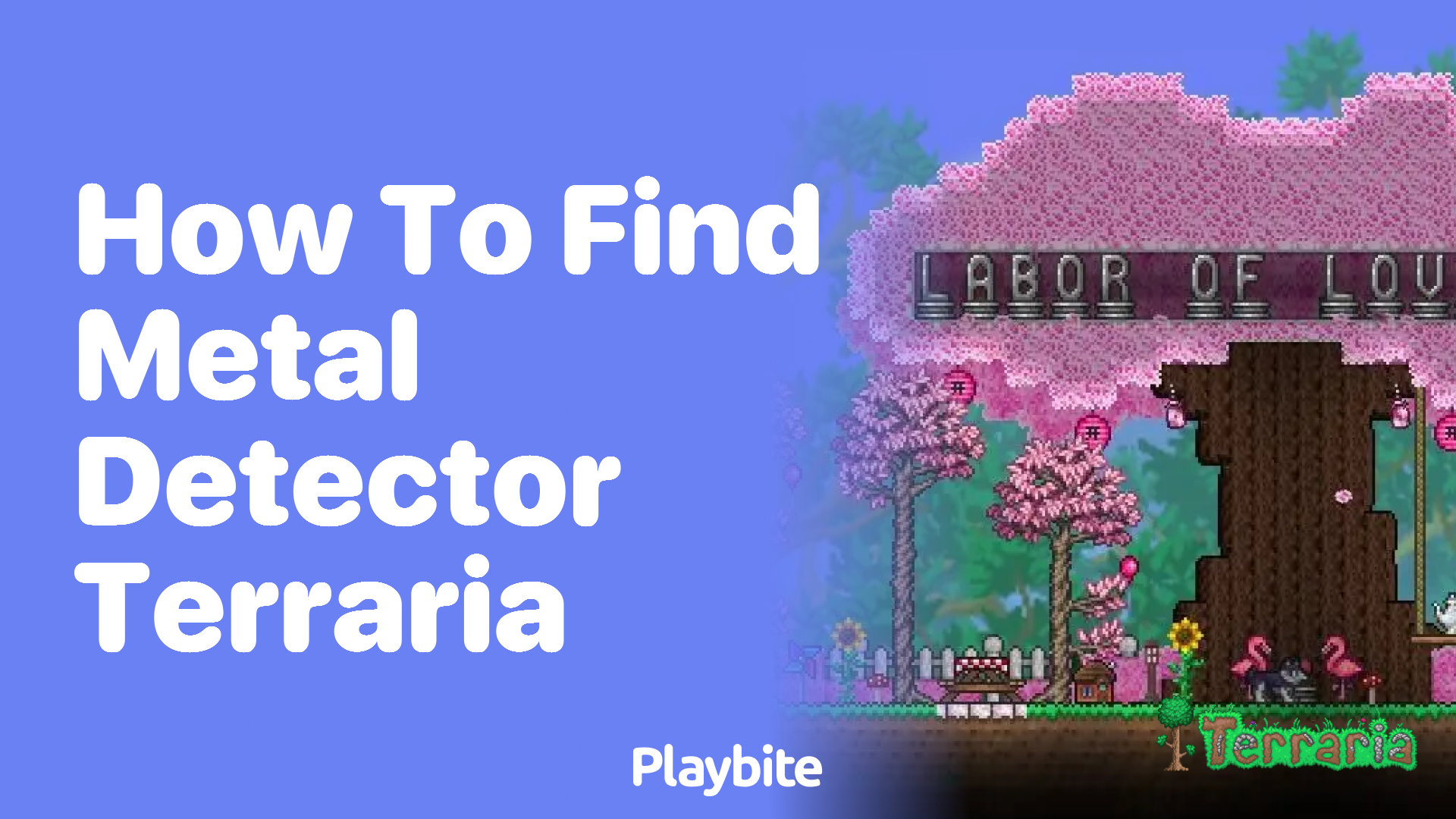 How to find a Metal Detector in Terraria