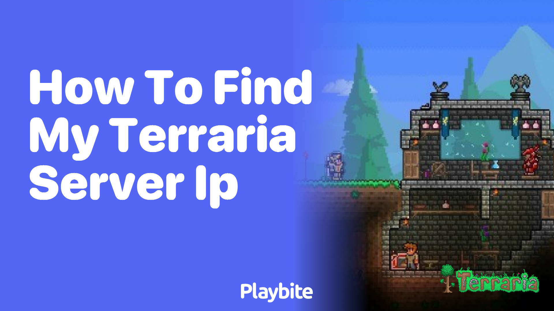 How to find my Terraria server IP - Playbite