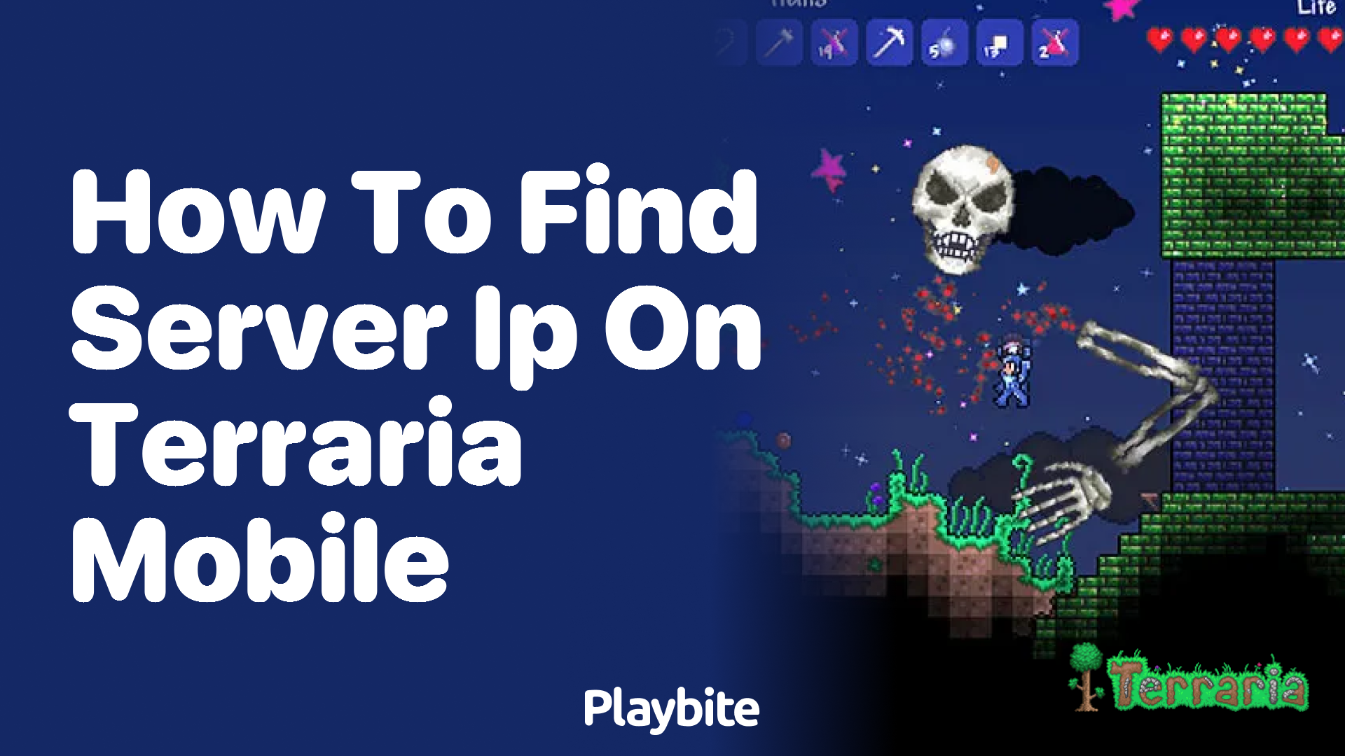 How to Find Server IP on Terraria Mobile - Playbite