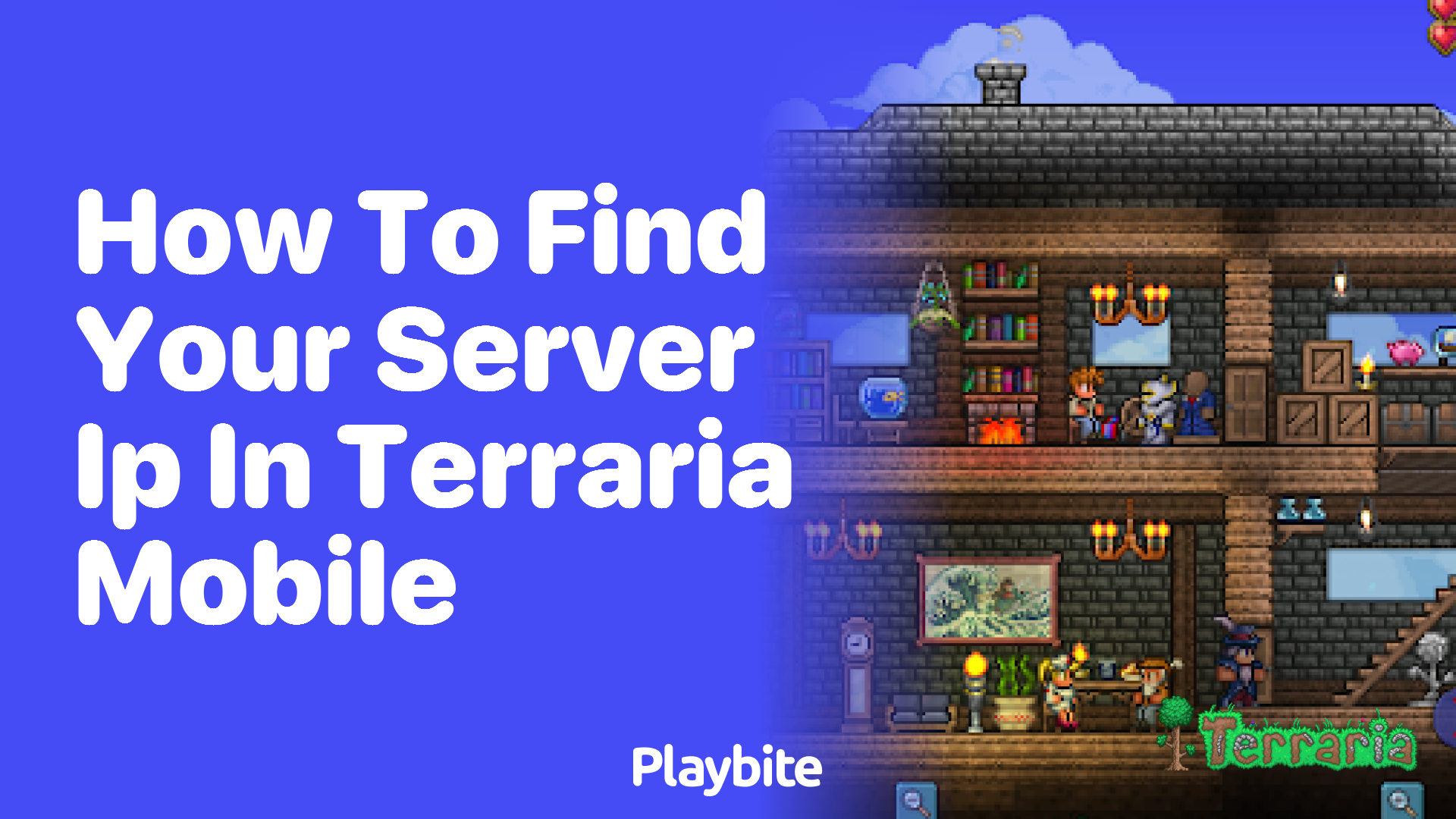 How to Find Your Server IP in Terraria Mobile - Playbite