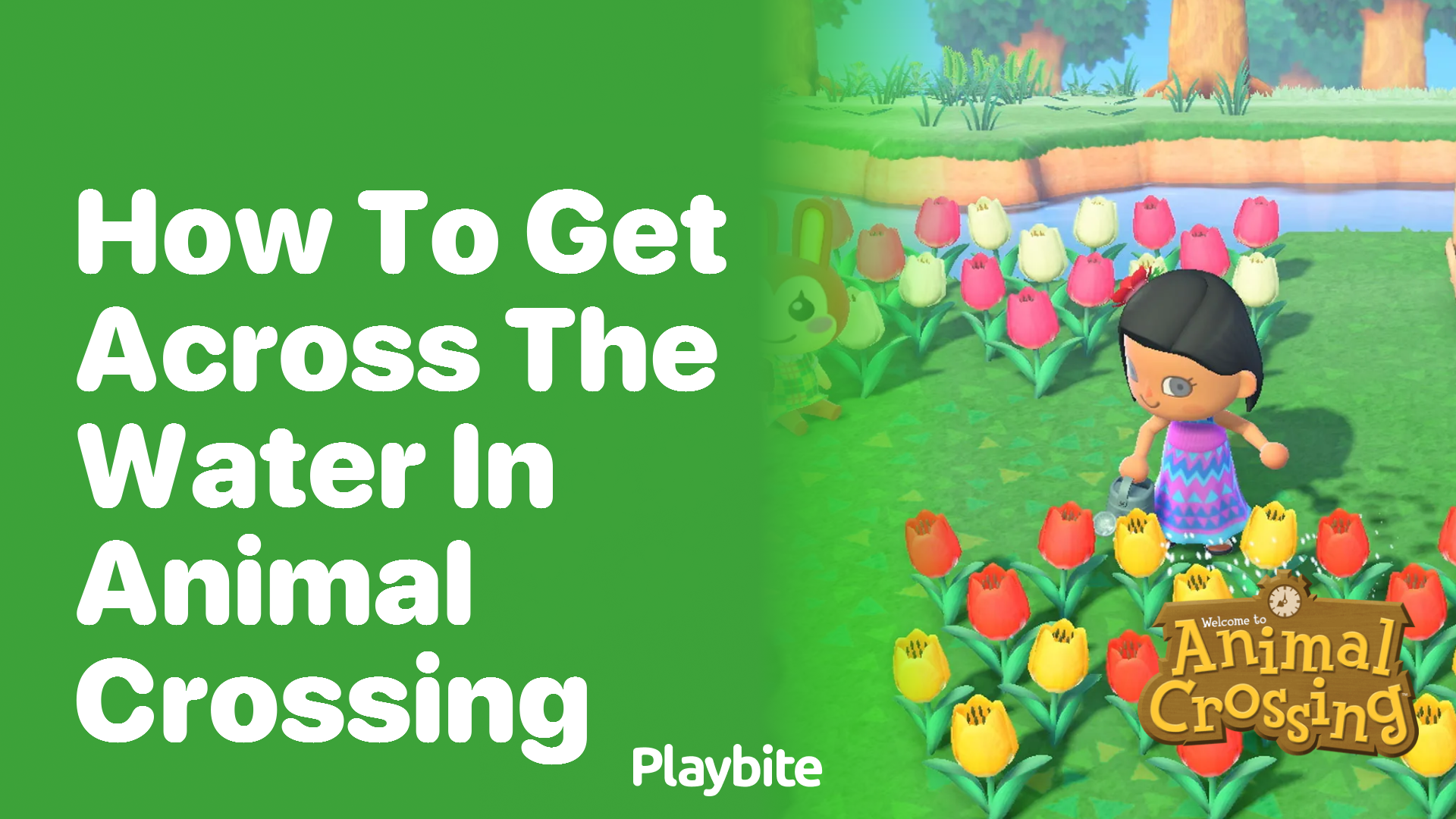 How to Get Across the Water in Animal Crossing