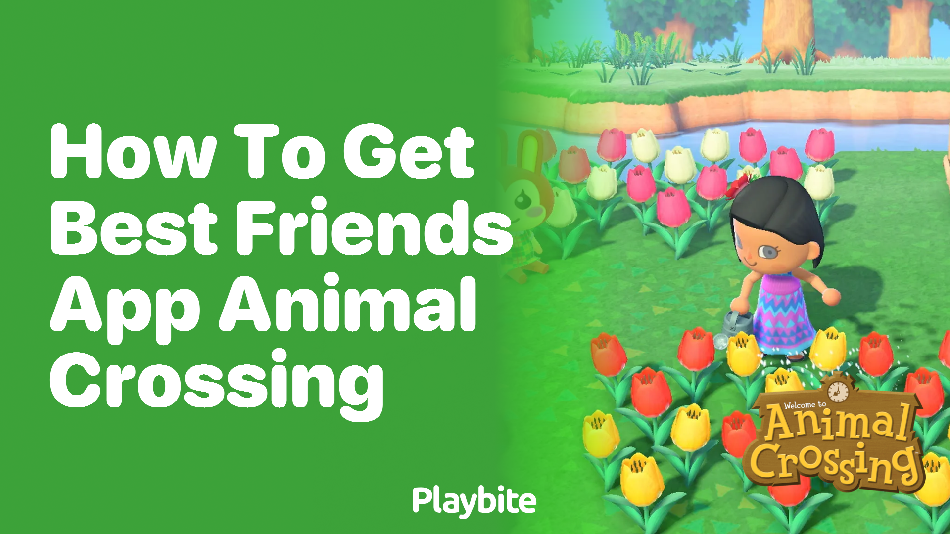 How to Get the Best Friends App in Animal Crossing