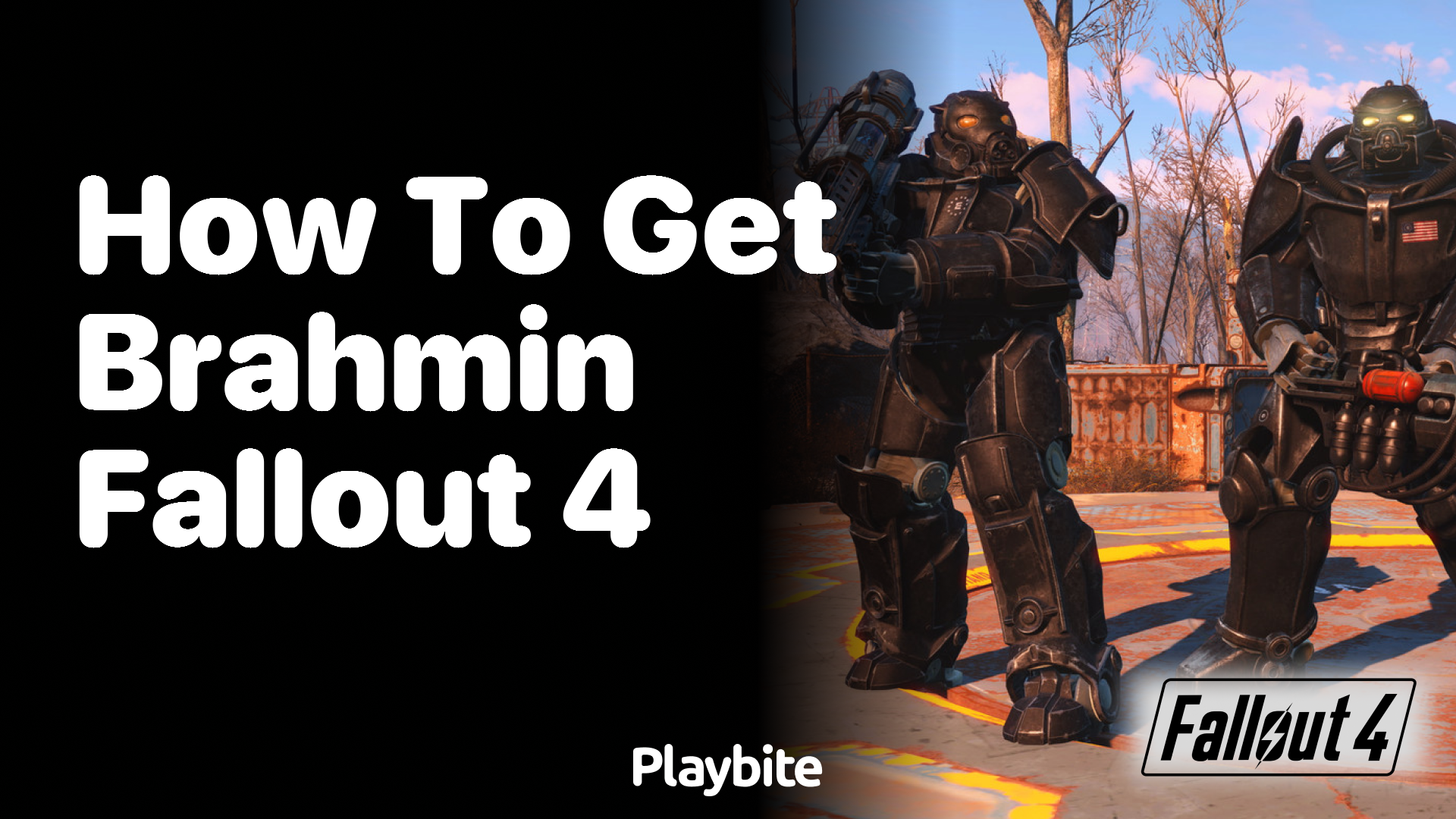 How to Get Brahmin in Fallout 4