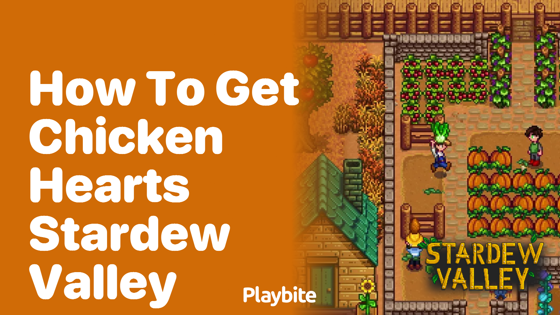 How to Get Chicken Hearts in Stardew Valley - Playbite