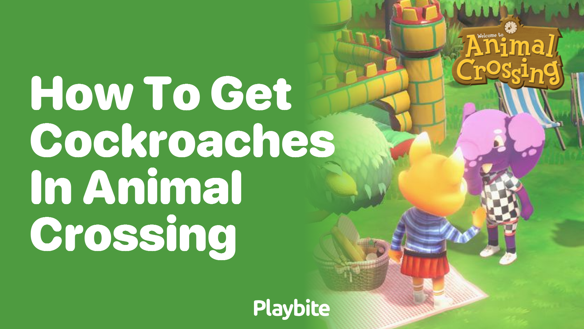 How to Get Cockroaches in Animal Crossing