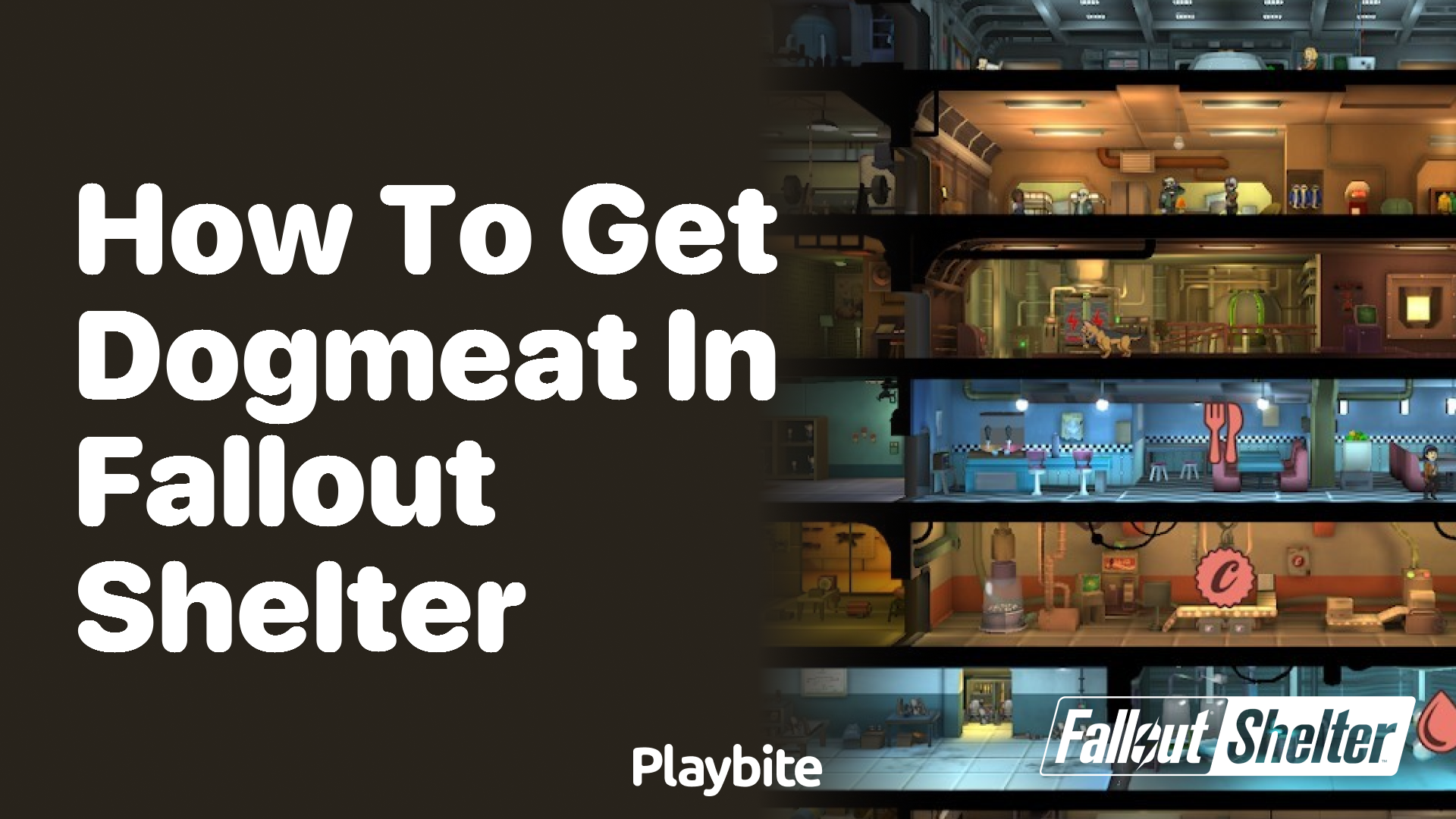 How to get Dogmeat in Fallout Shelter