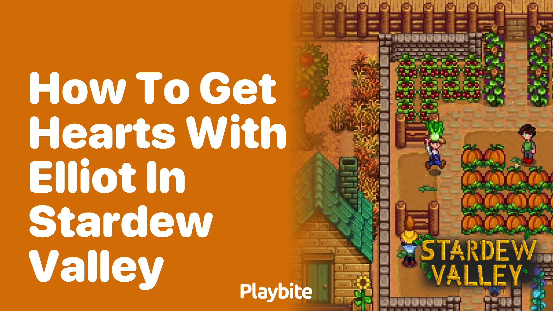 How to Get Hearts with Elliot in Stardew Valley