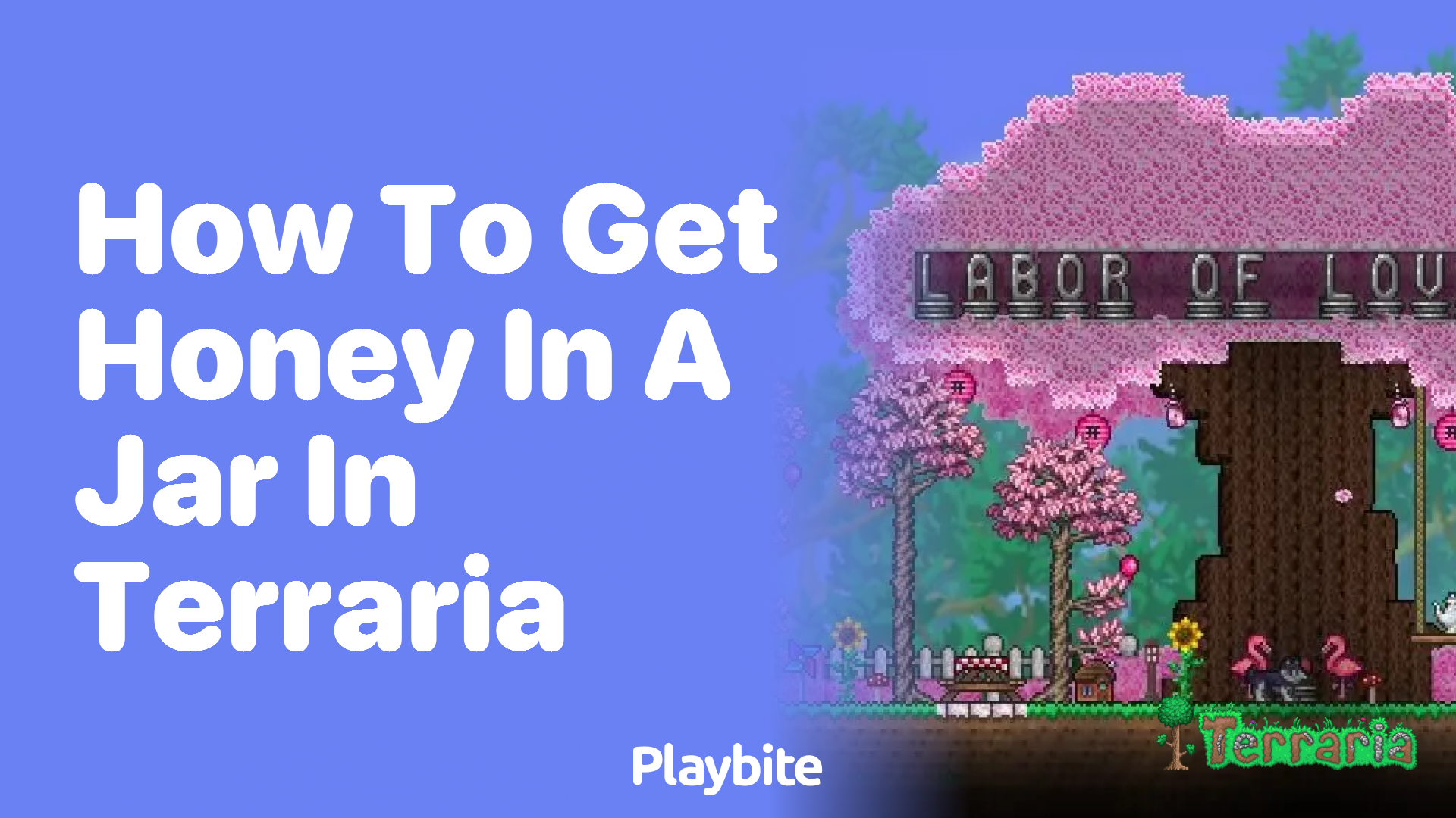 How to get honey in a jar in Terraria