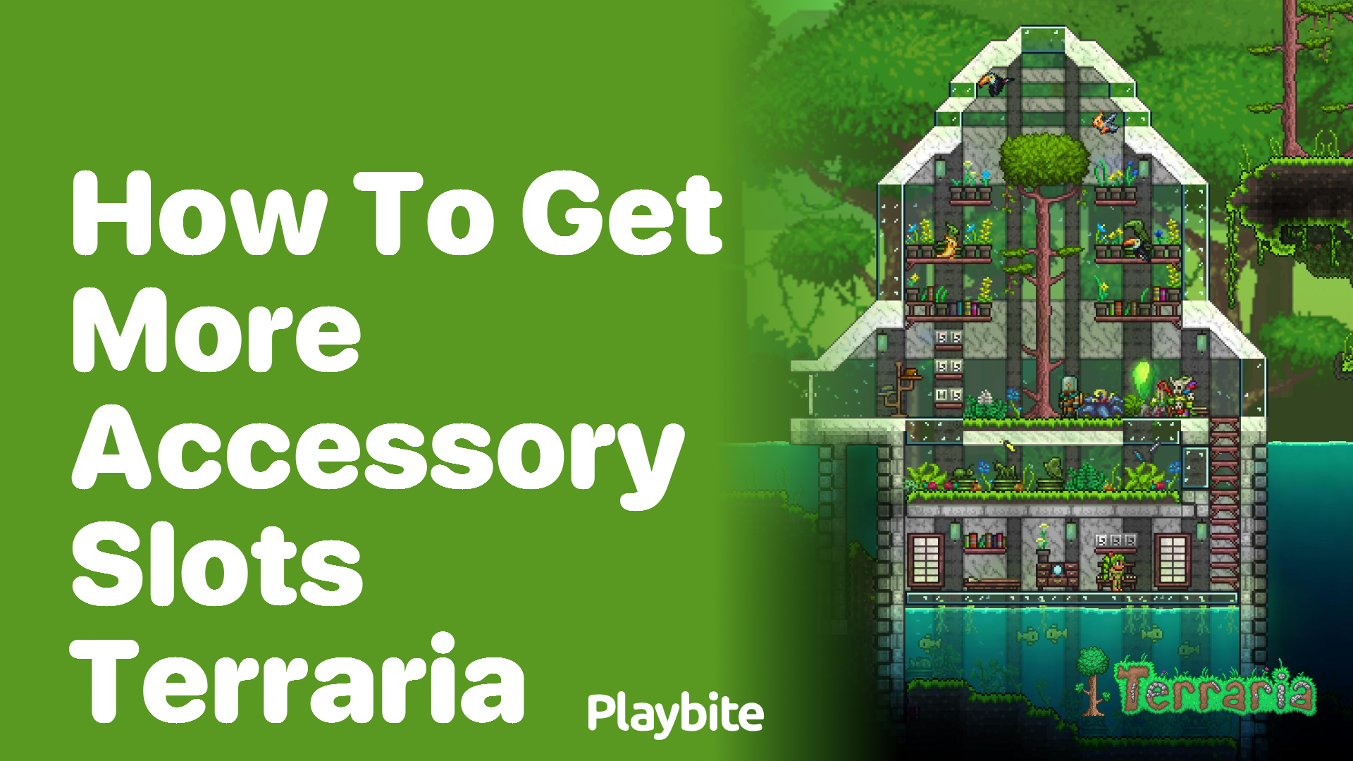 How to get more accessory slots in Terraria