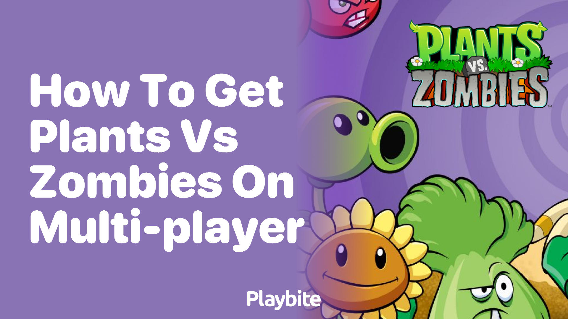 How to Get Plants vs Zombies on Multi-Player