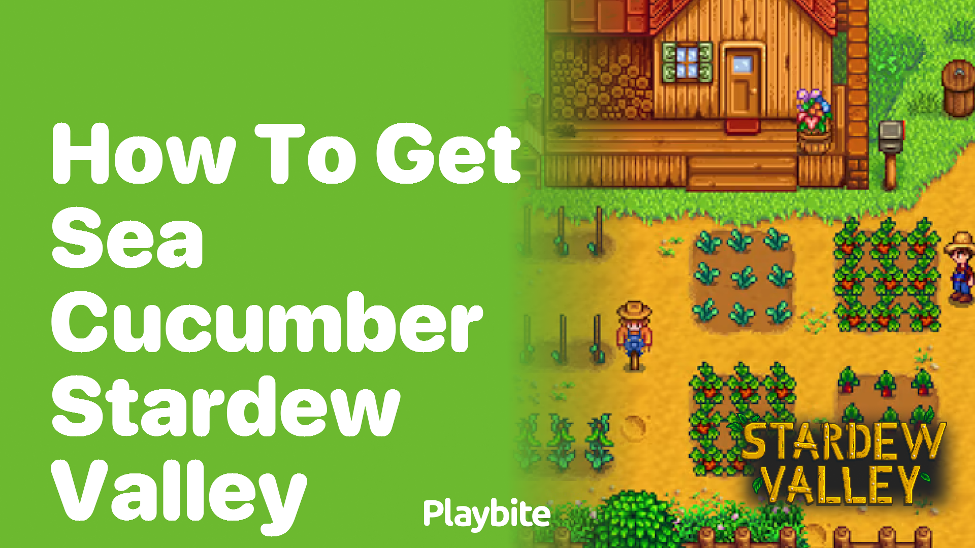 How to Get Sea Cucumber in Stardew Valley