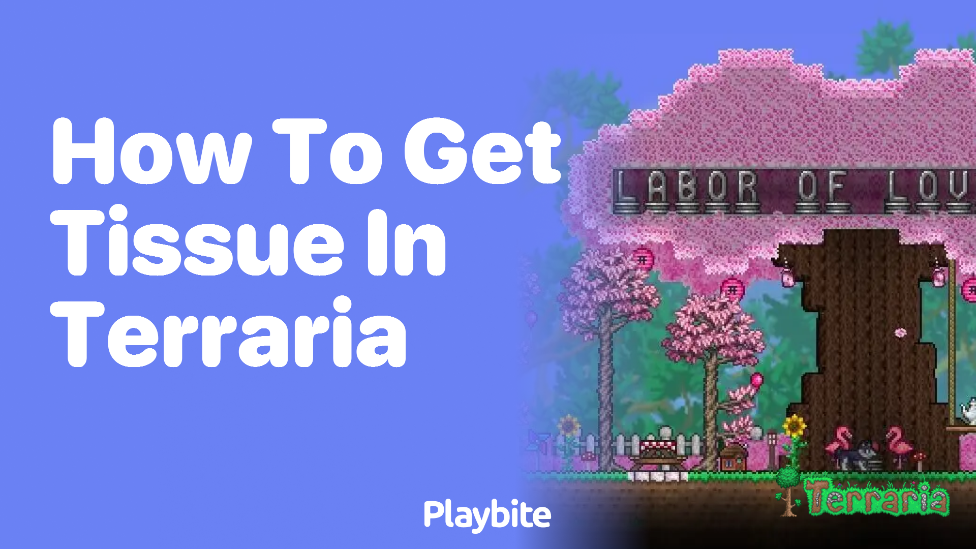 How to get tissue in Terraria