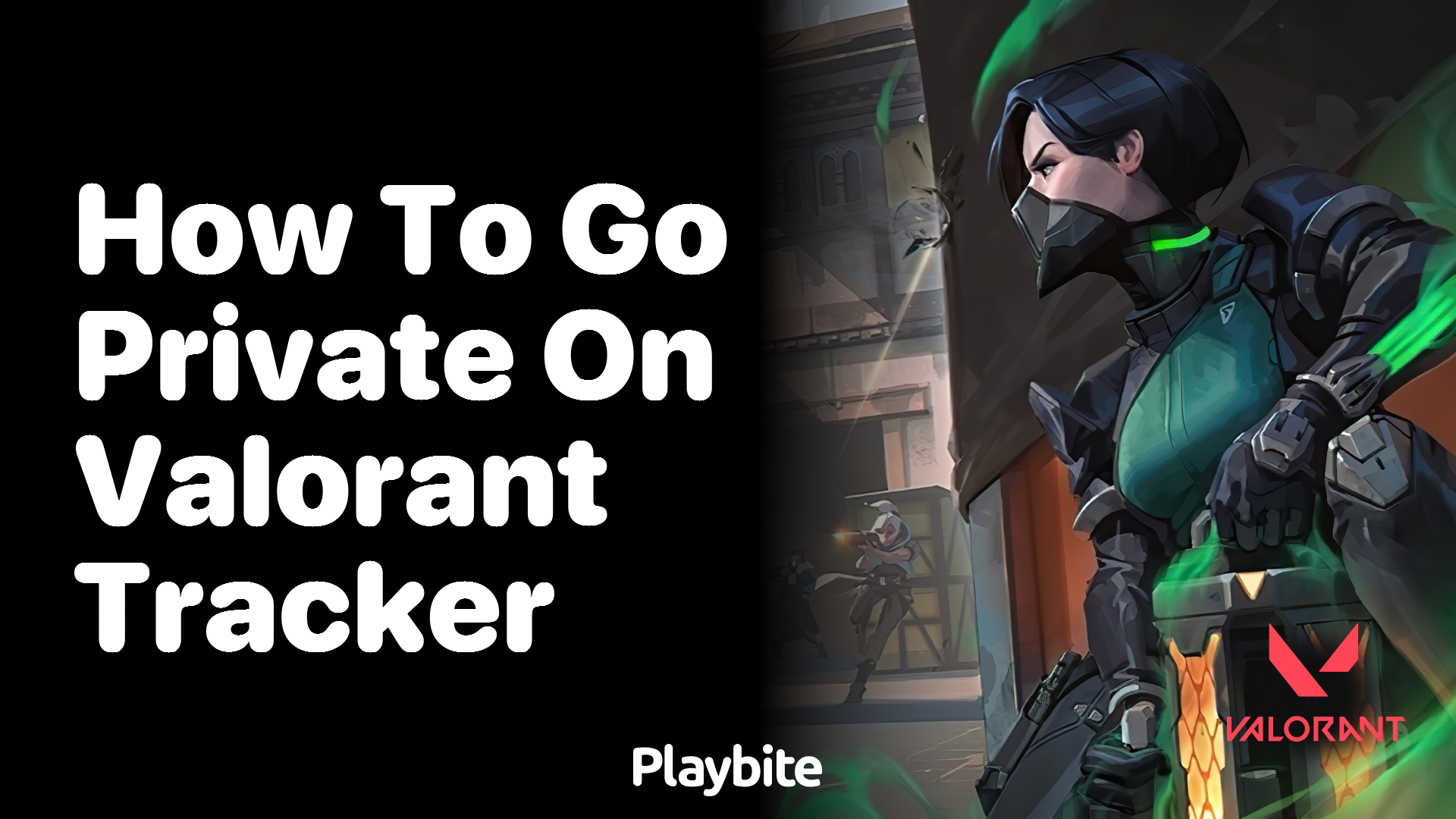 How to go private on Valorant Tracker