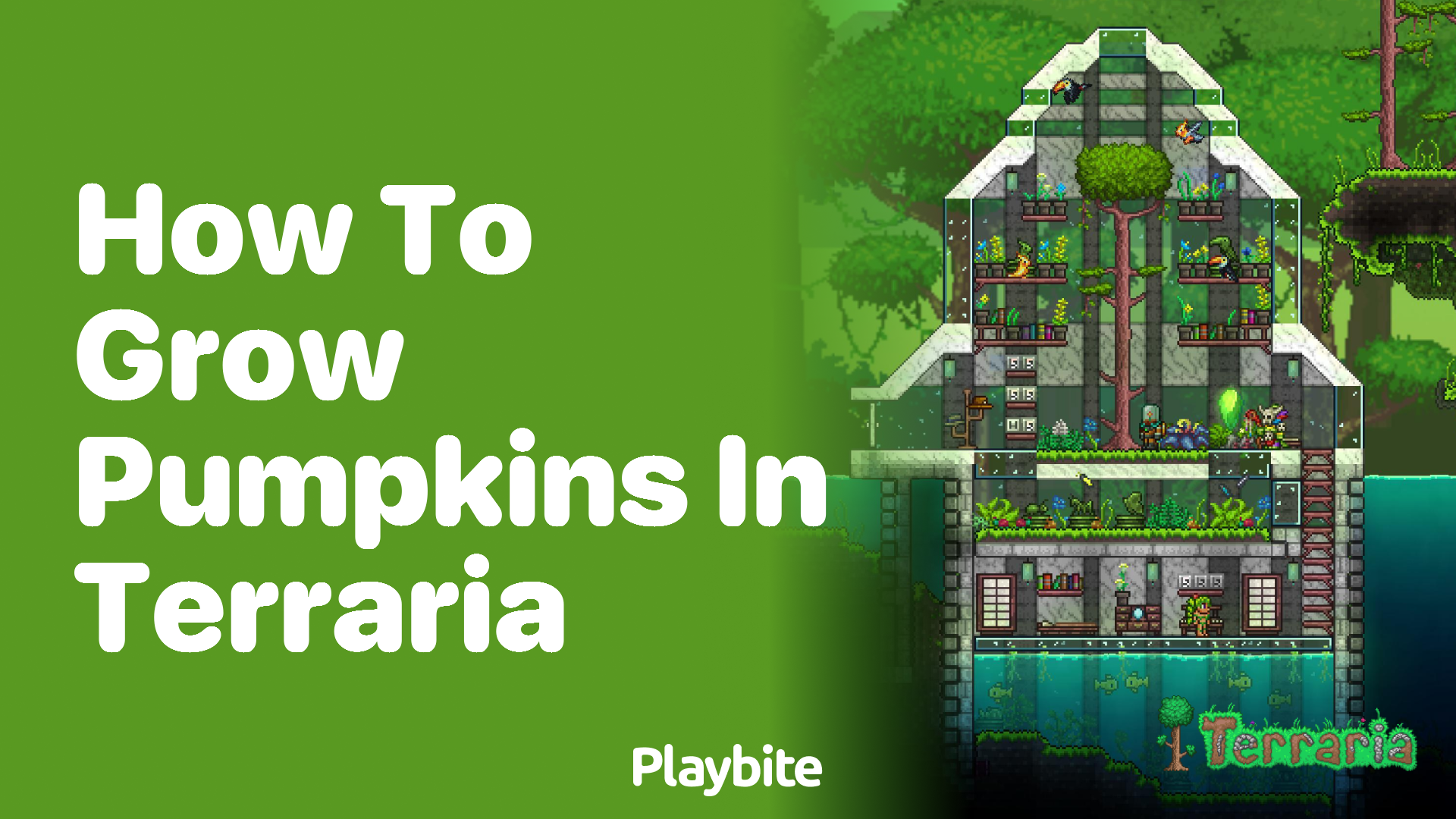 How to Grow Pumpkins in Terraria