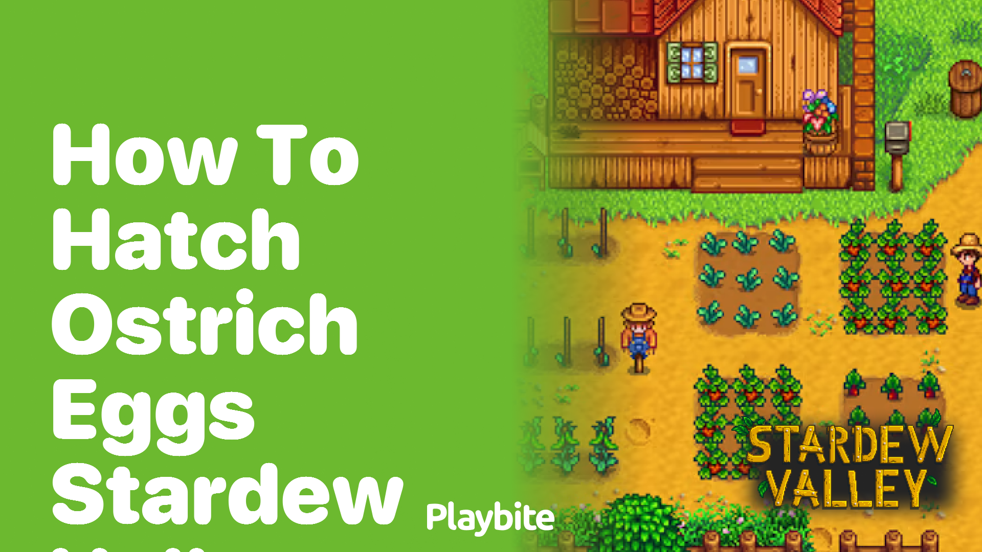 How to Hatch Ostrich Eggs in Stardew Valley