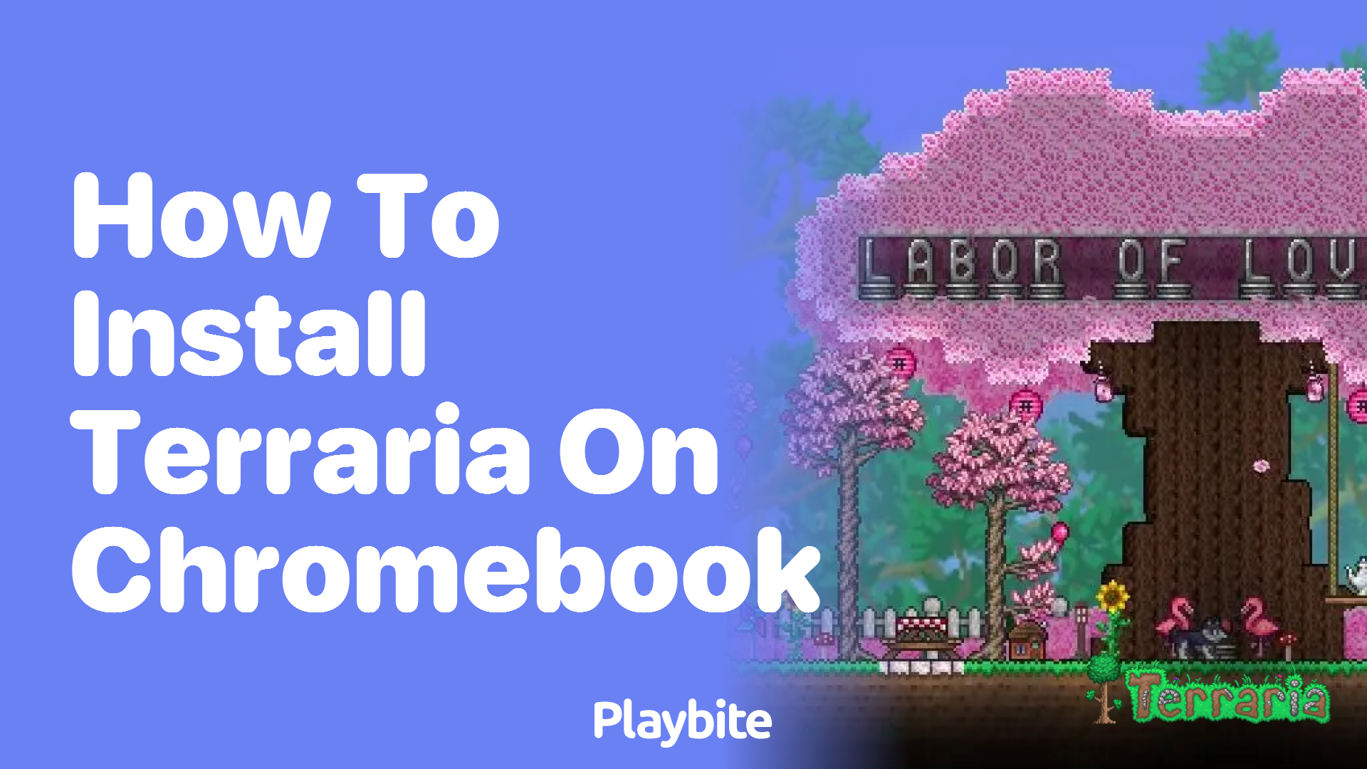 How to Install Terraria on Chromebook