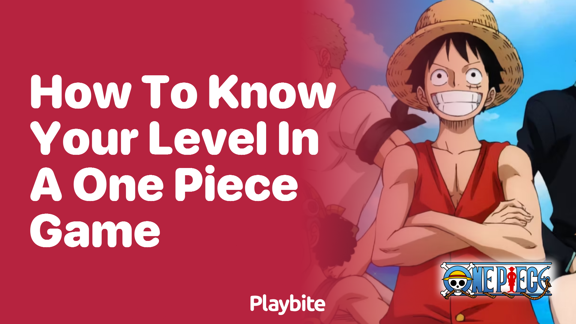 How to Know Your Level in a One Piece Game