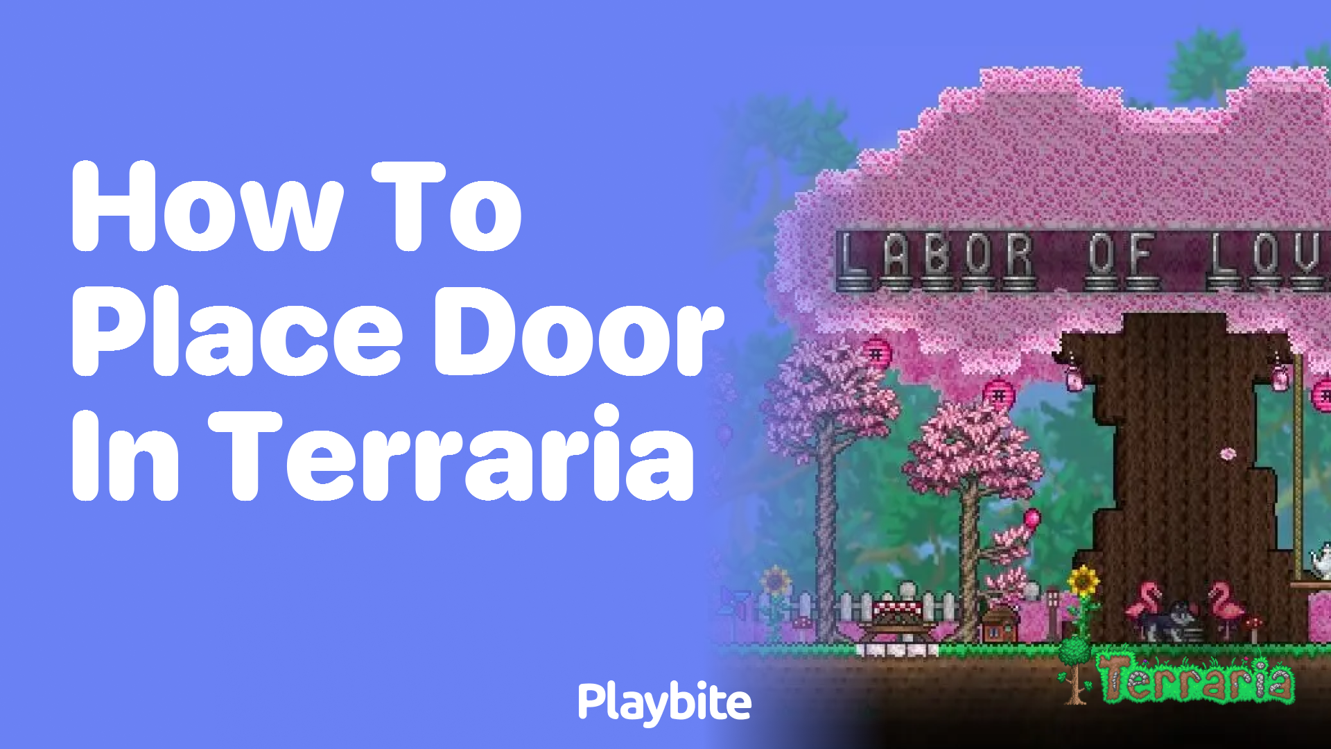 How to place a door in Terraria