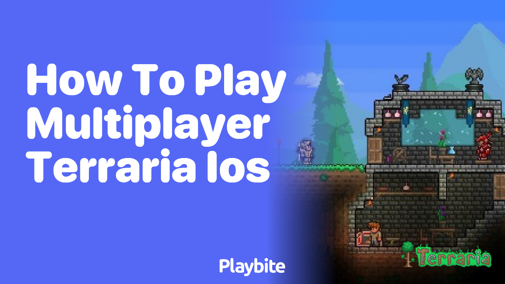 How to play multiplayer Terraria on iOS?