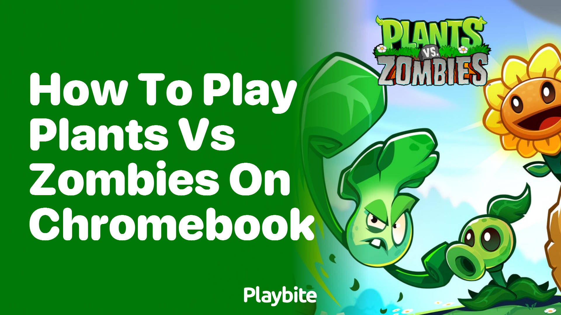 How to play Plants vs Zombies on Chromebook