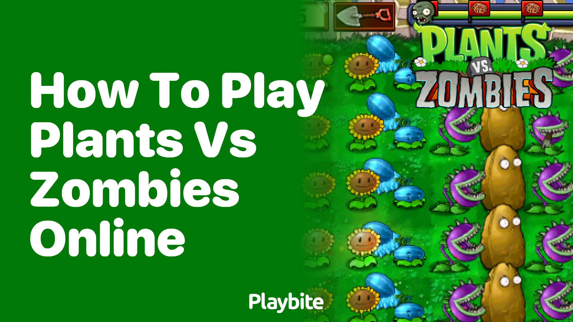 How to play plants vs zombies online - Playbite