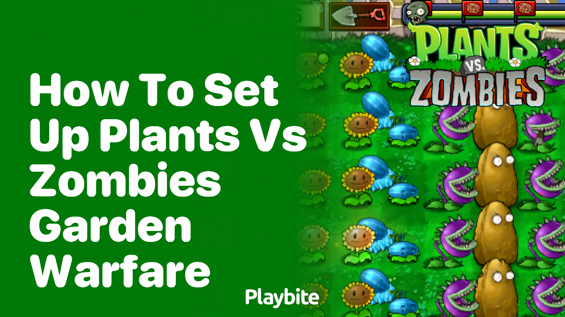 How to Set Up Plants vs Zombies Garden Warfare