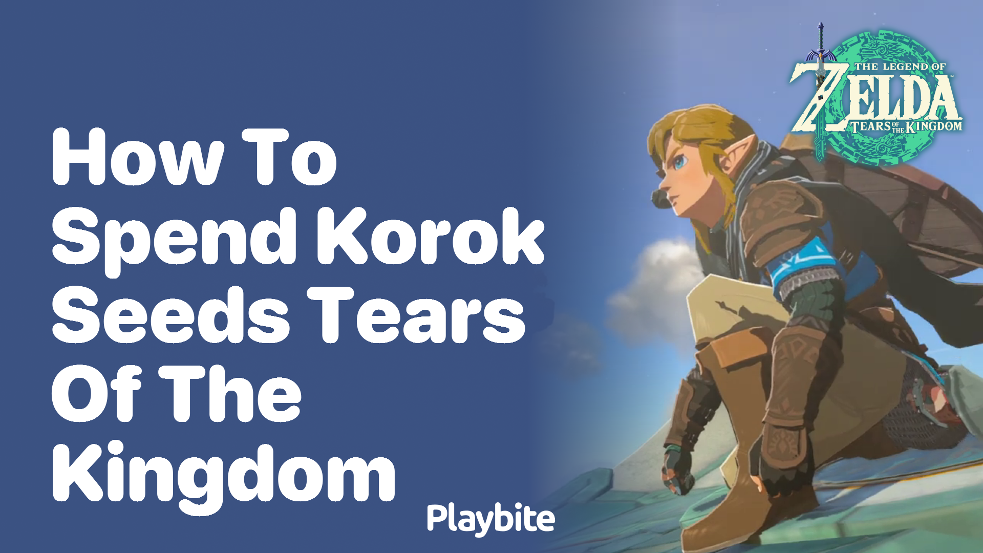 How to Spend Korok Seeds in Tears of the Kingdom - Playbite