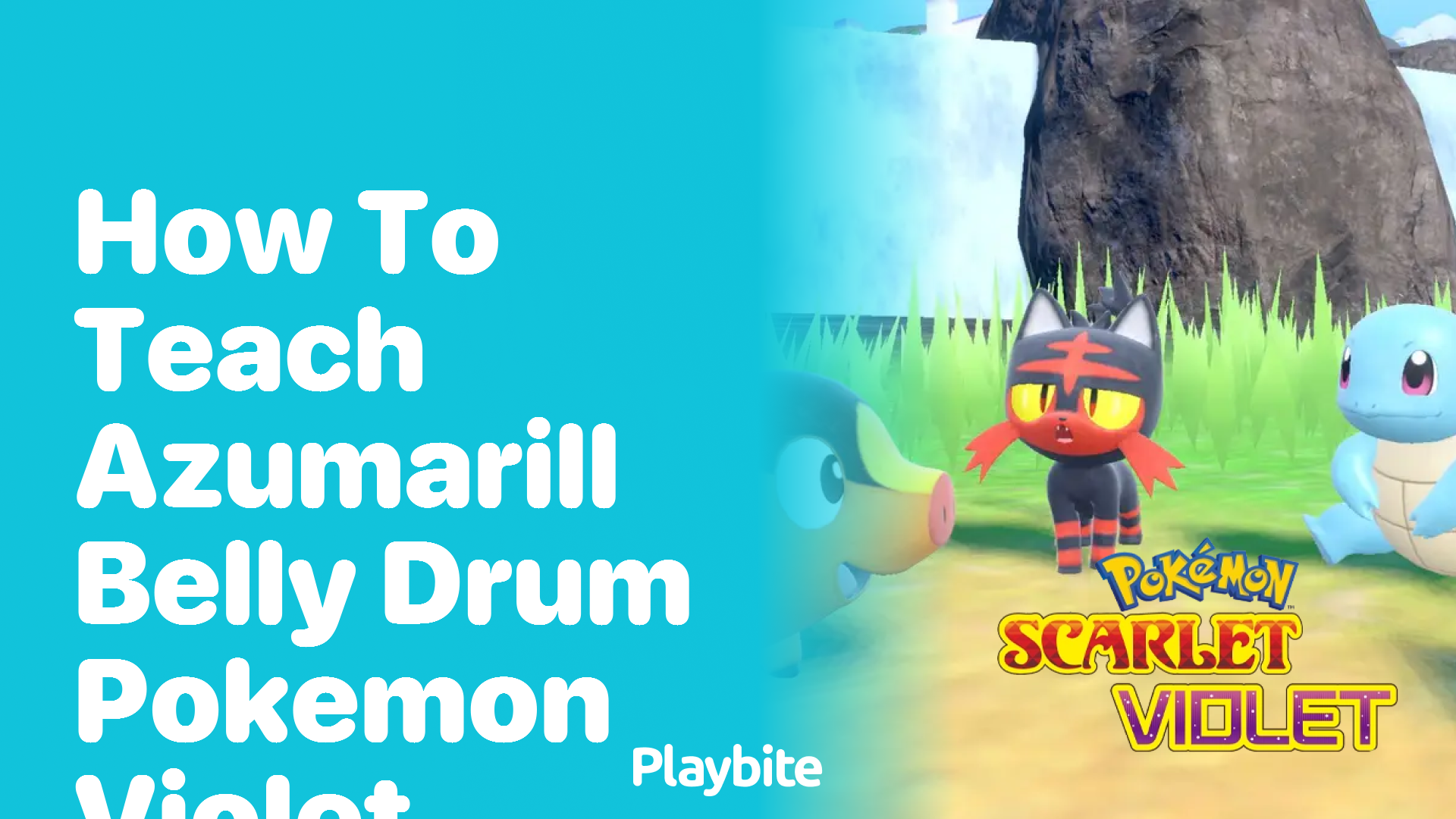 How to Teach Azumarill Belly Drum in Pokemon Violet