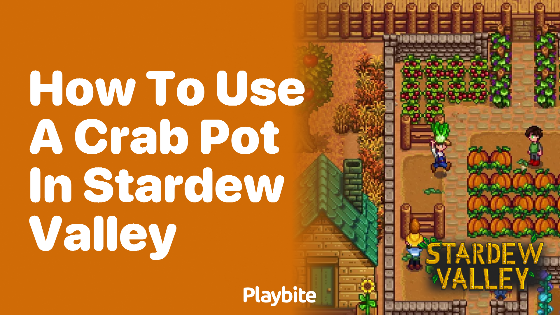 How to use a crab pot in Stardew Valley