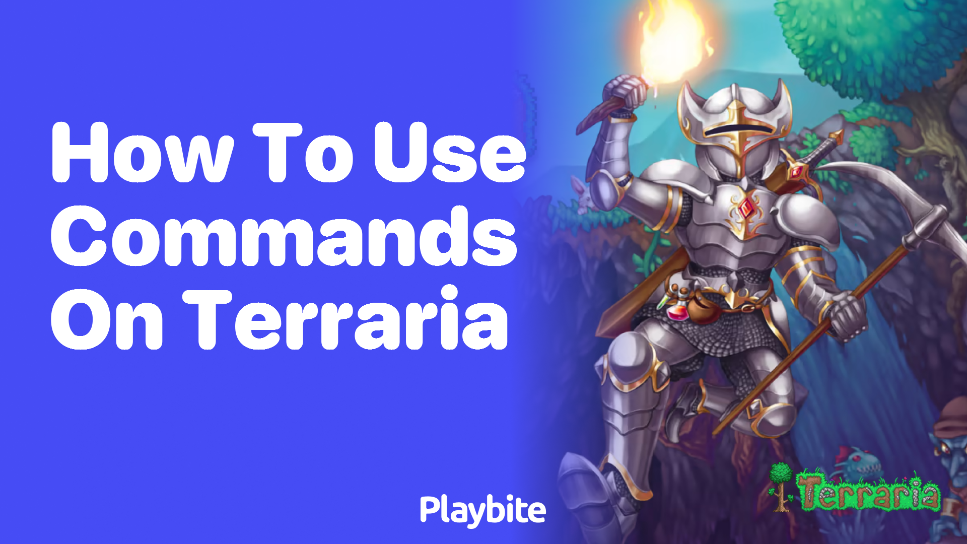 How to use commands on Terraria