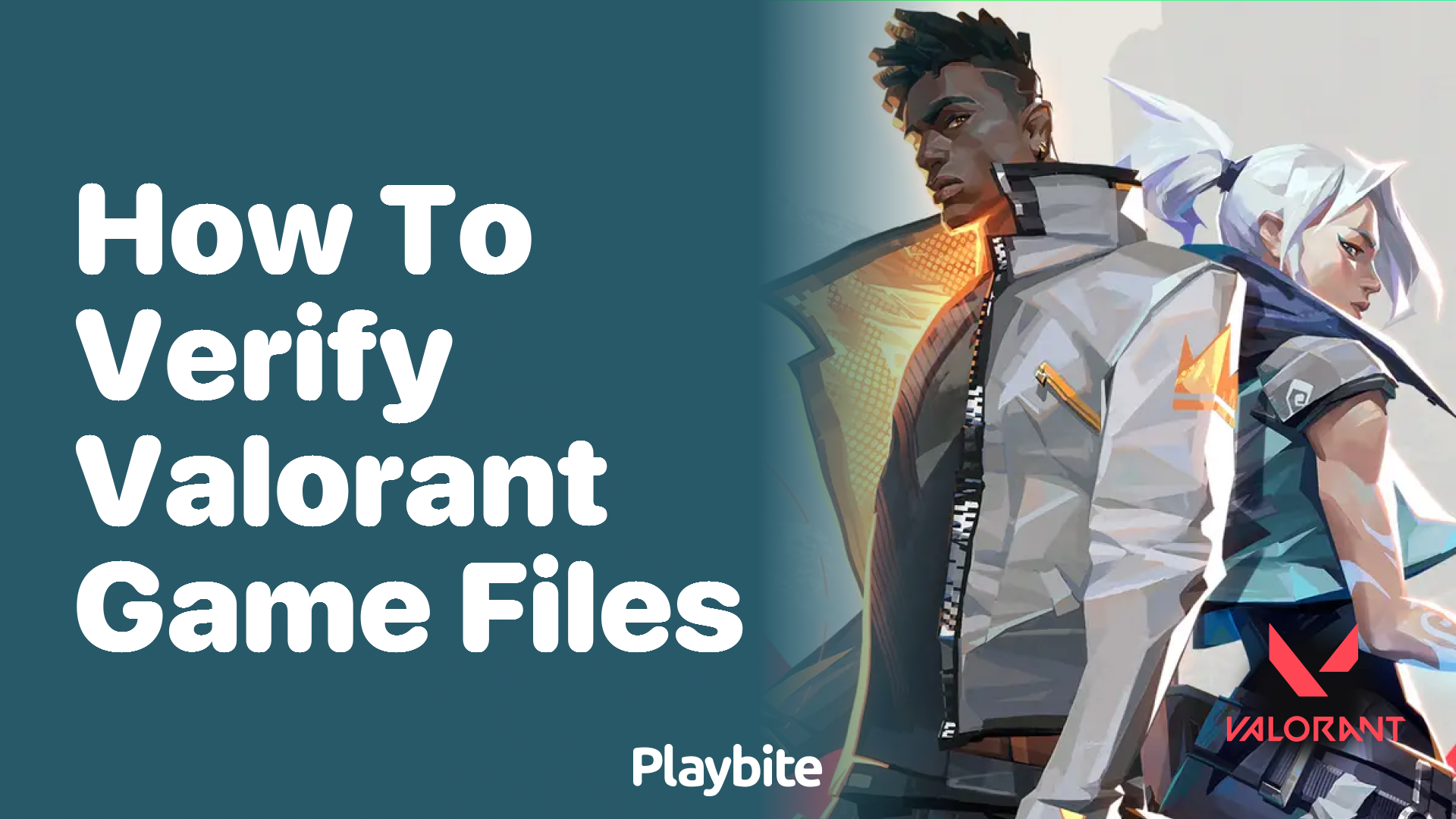 How to Verify Valorant Game Files - Playbite