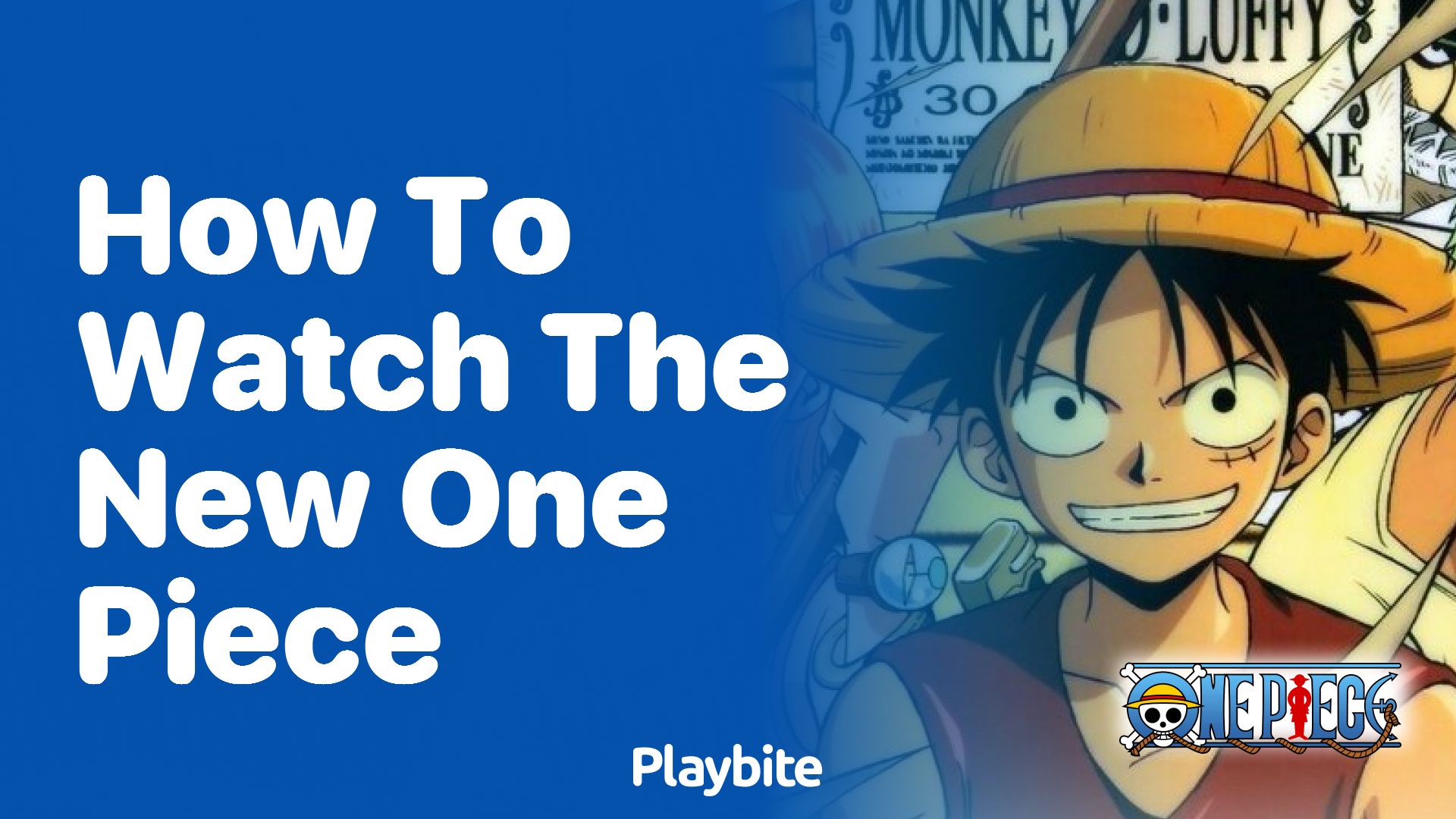 How to Watch the New One Piece