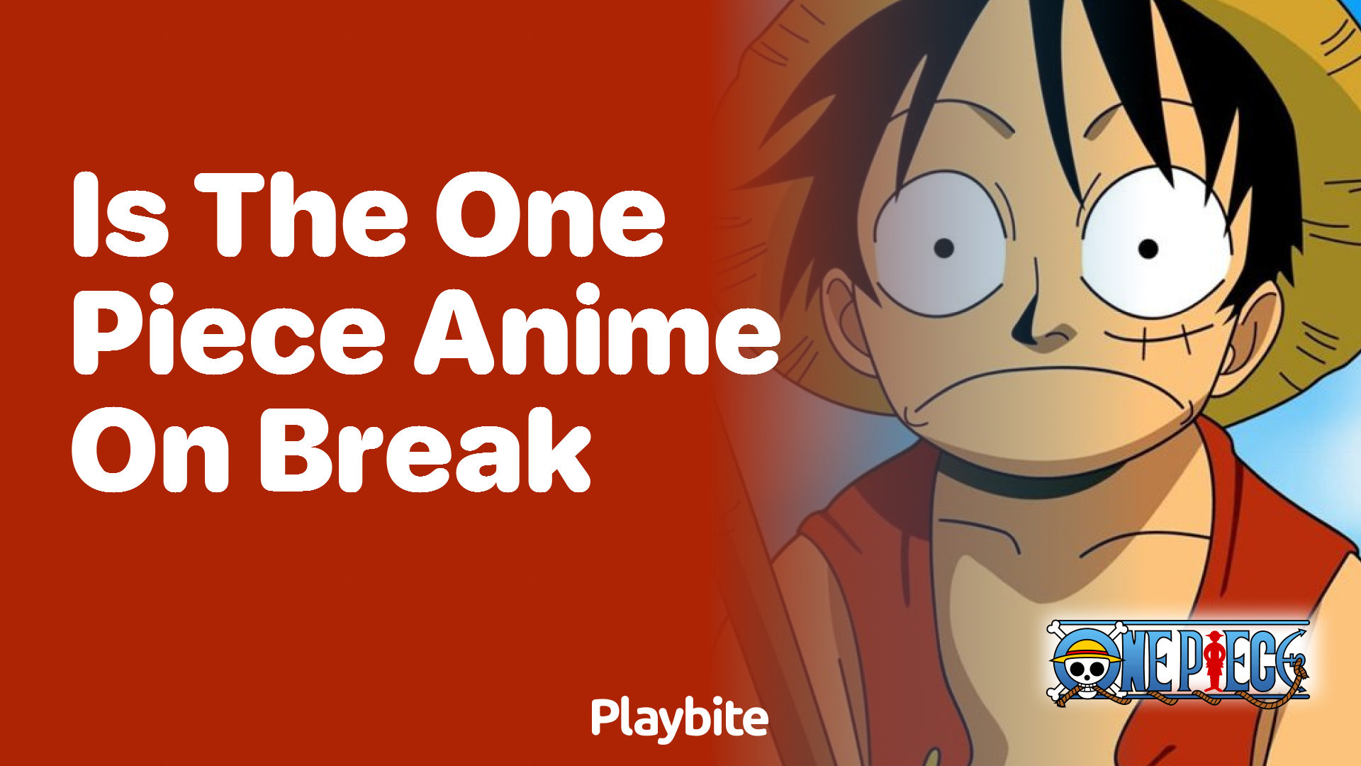 Is the One Piece anime on break?