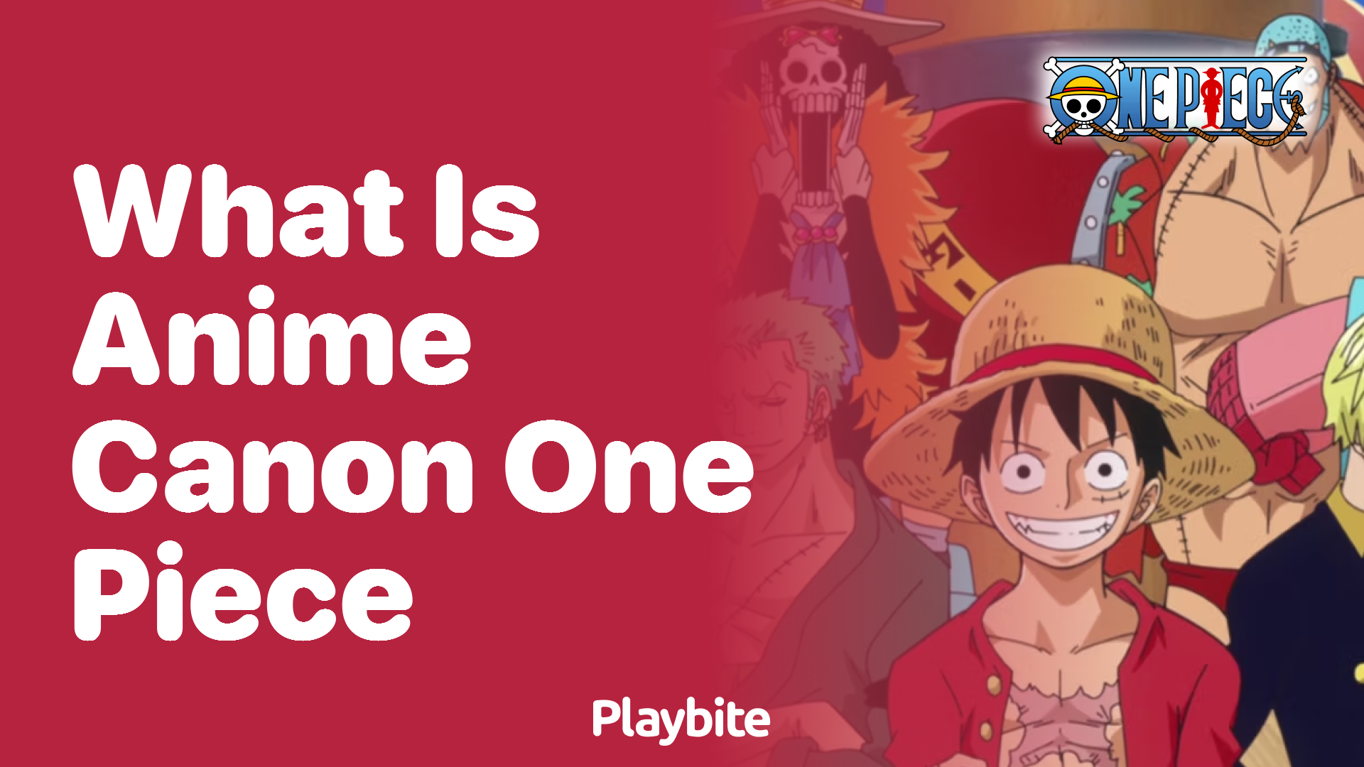 What is Anime Canon in One Piece? - Playbite