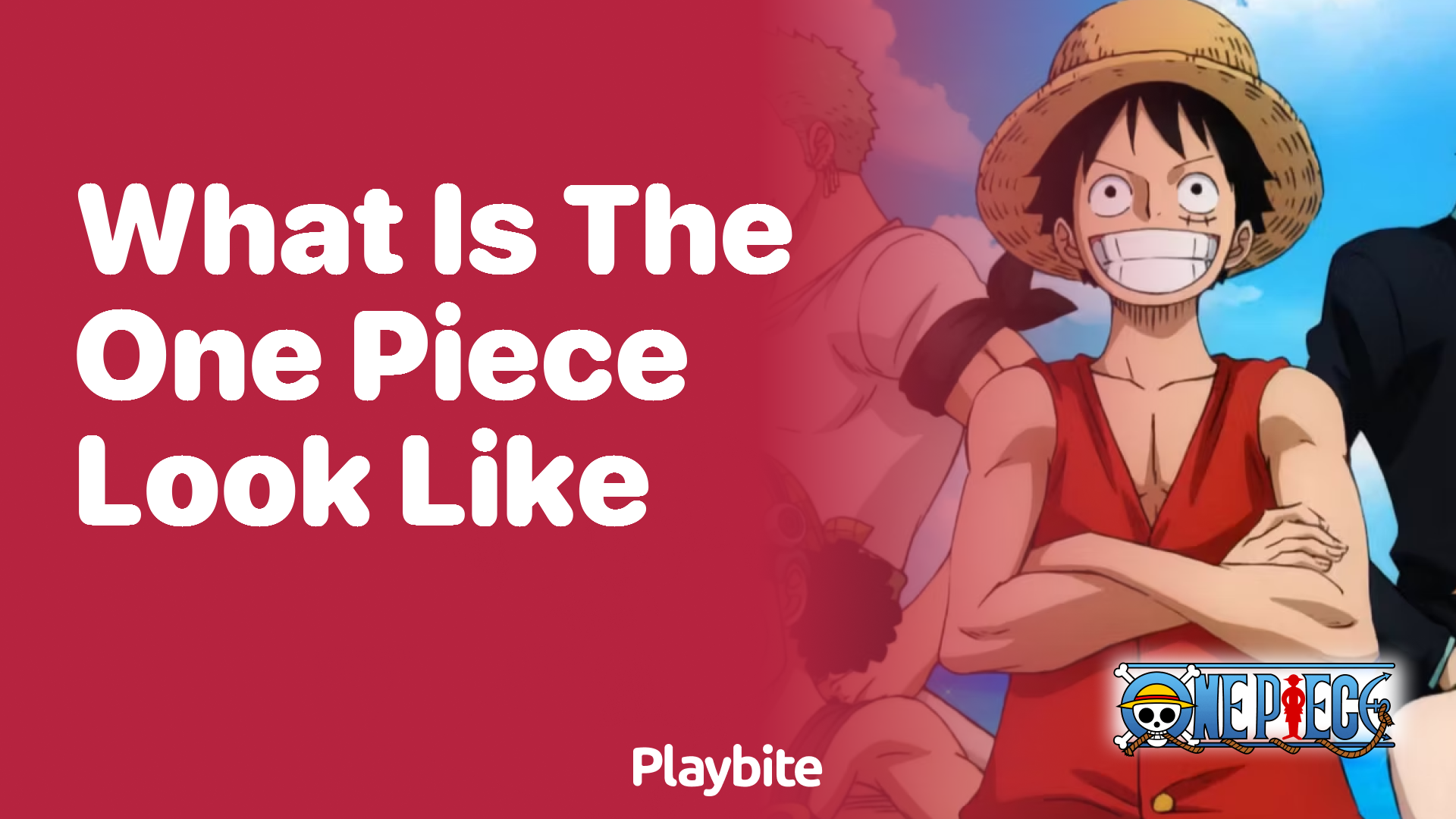 What Does The One Piece Look Like?