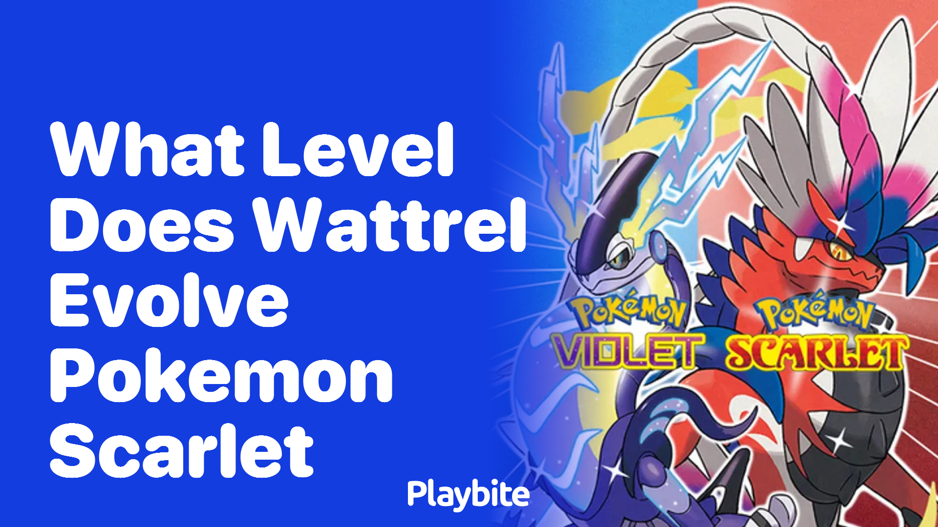 What Level Does Wattrel Evolve In Pokemon Scarlet?