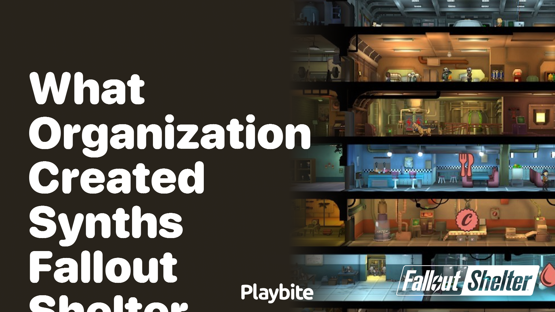 What organization created Synths in Fallout Shelter?