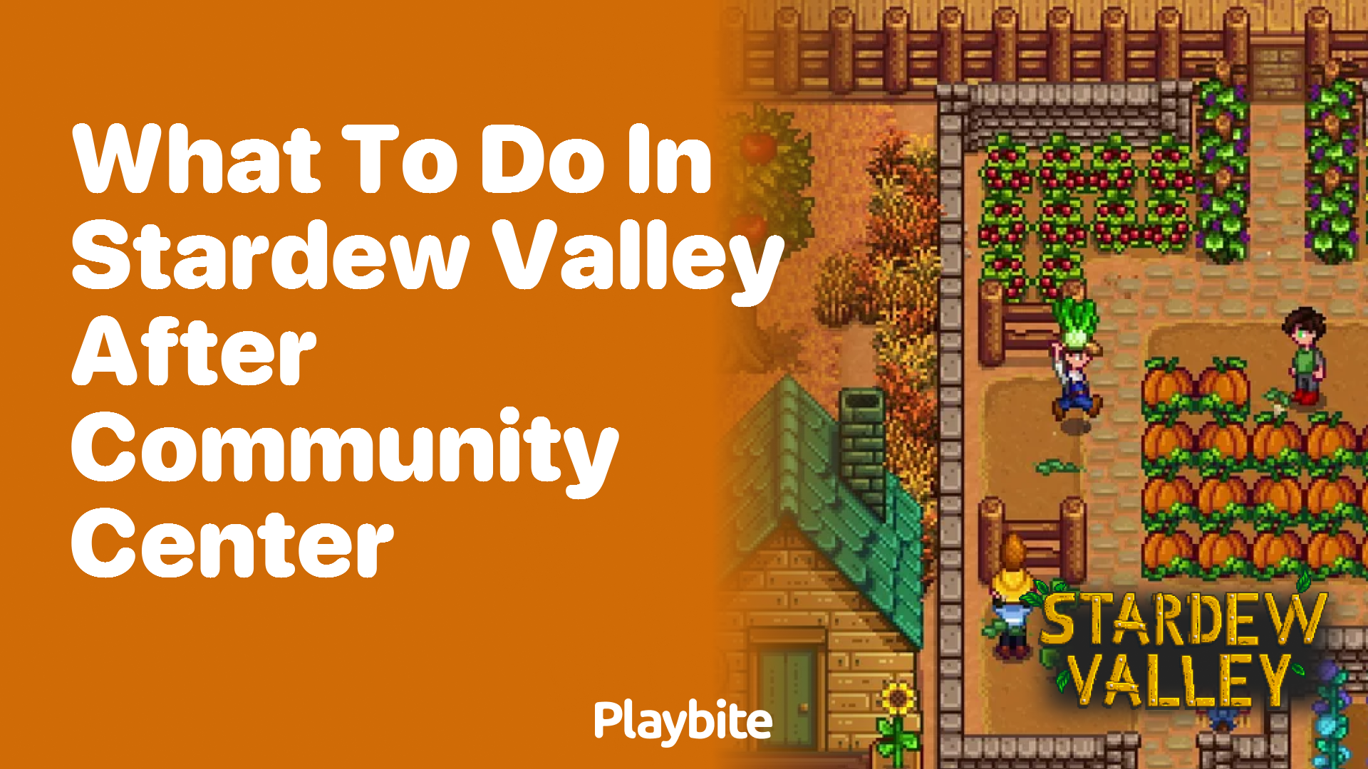 What to Do in Stardew Valley After the Community Center